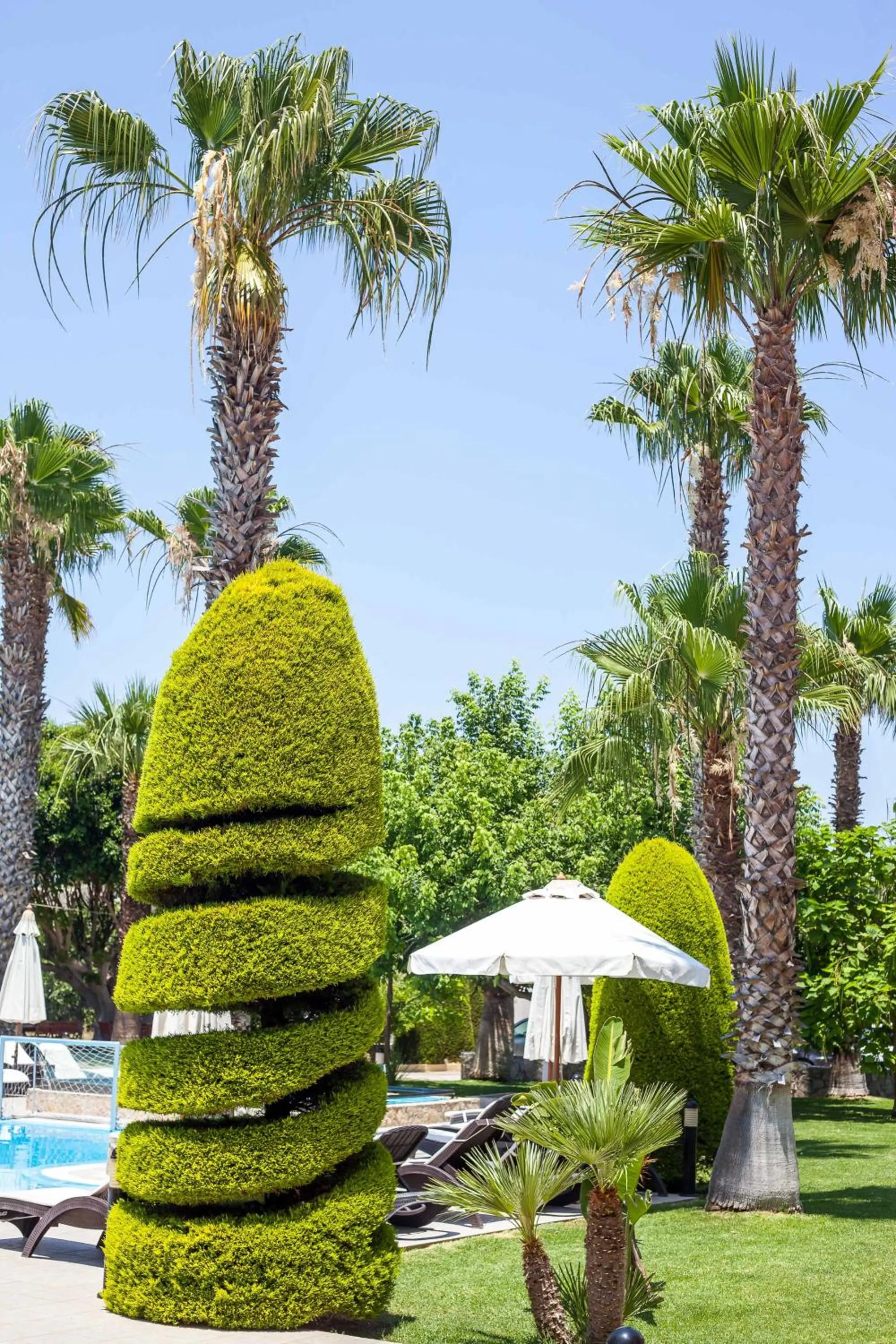 Garden in Stavros Melathron Studios