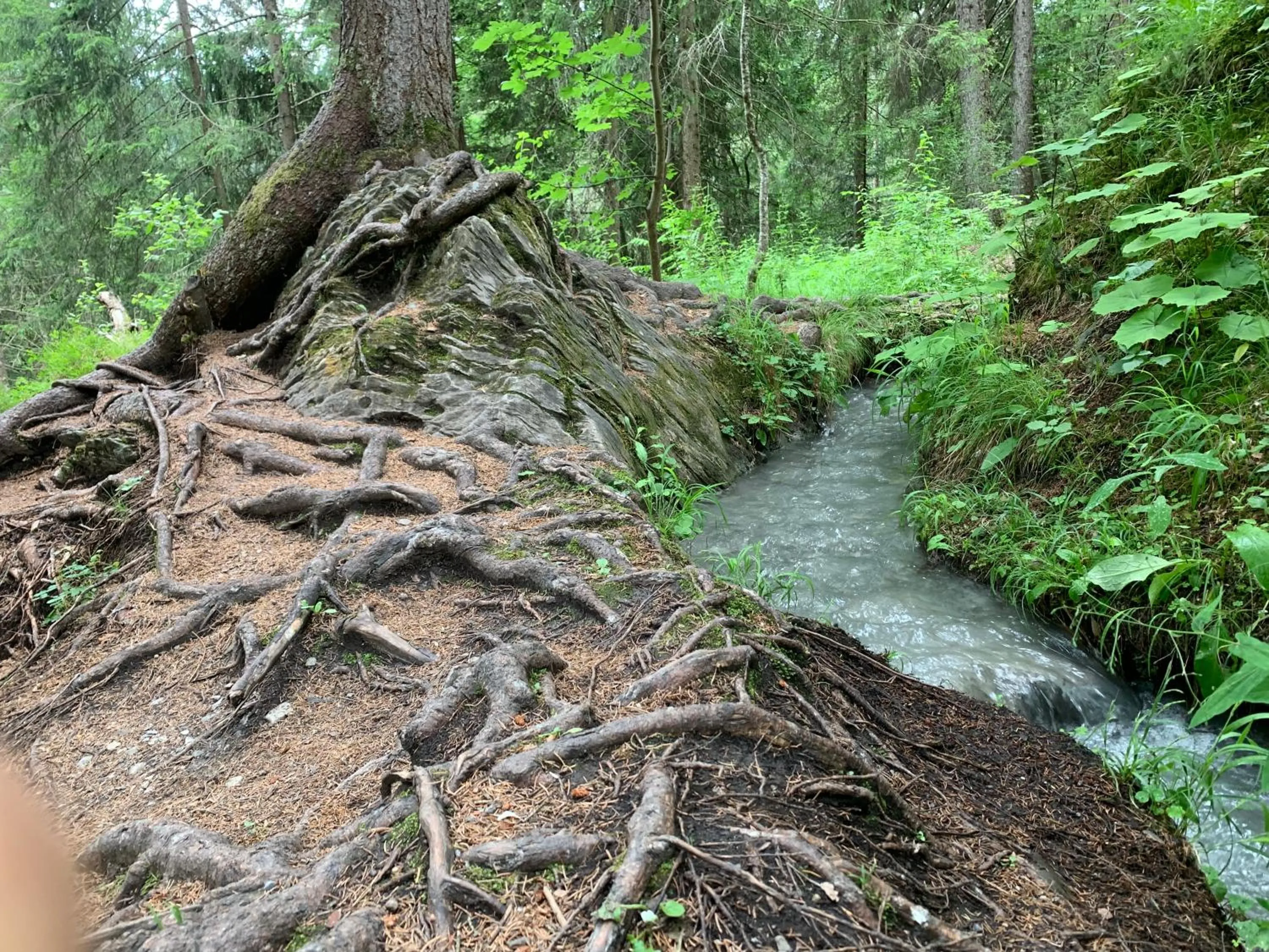 Nearby landmark in Casa Las Caglias