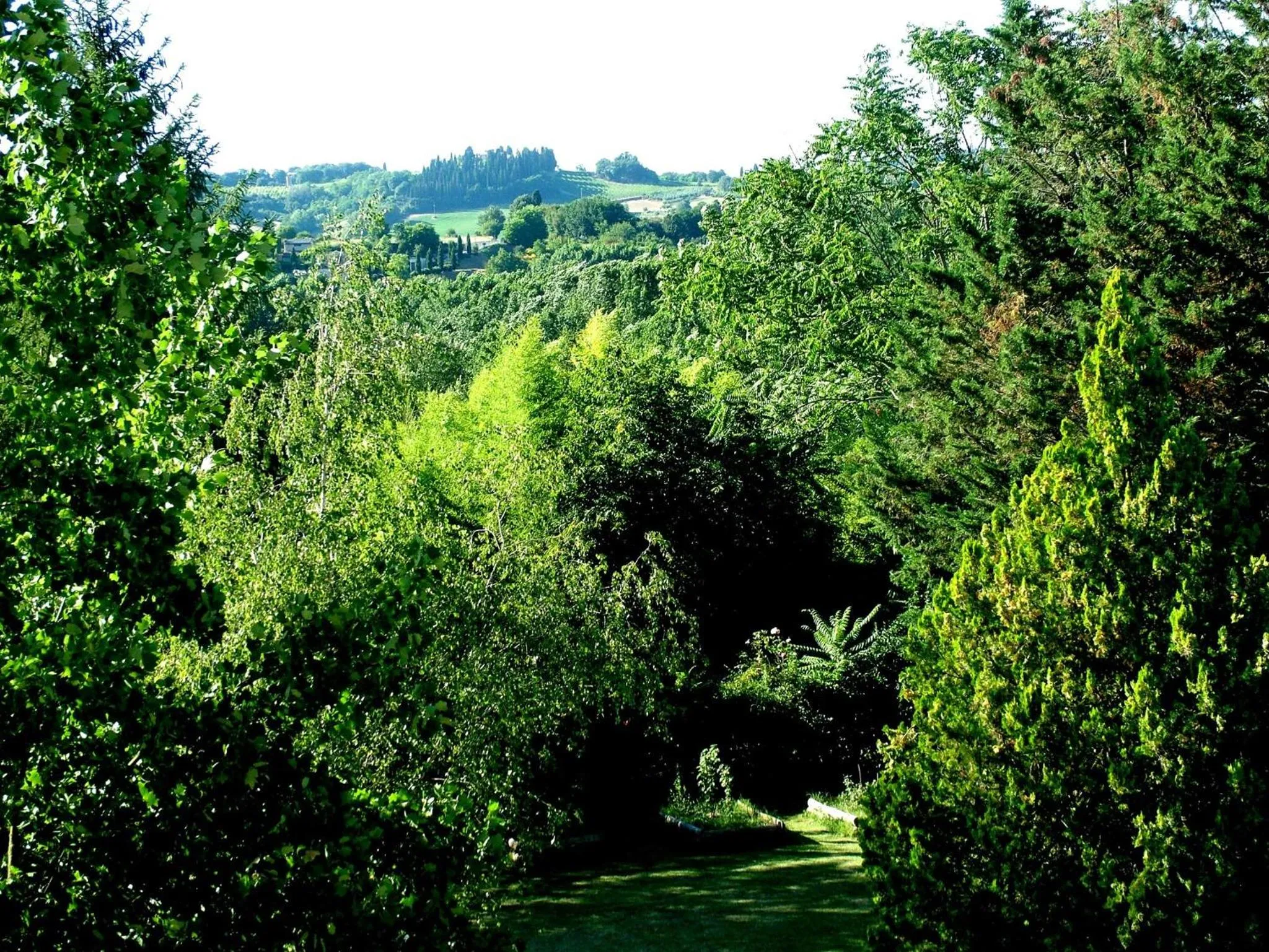 Garden in La Francigena