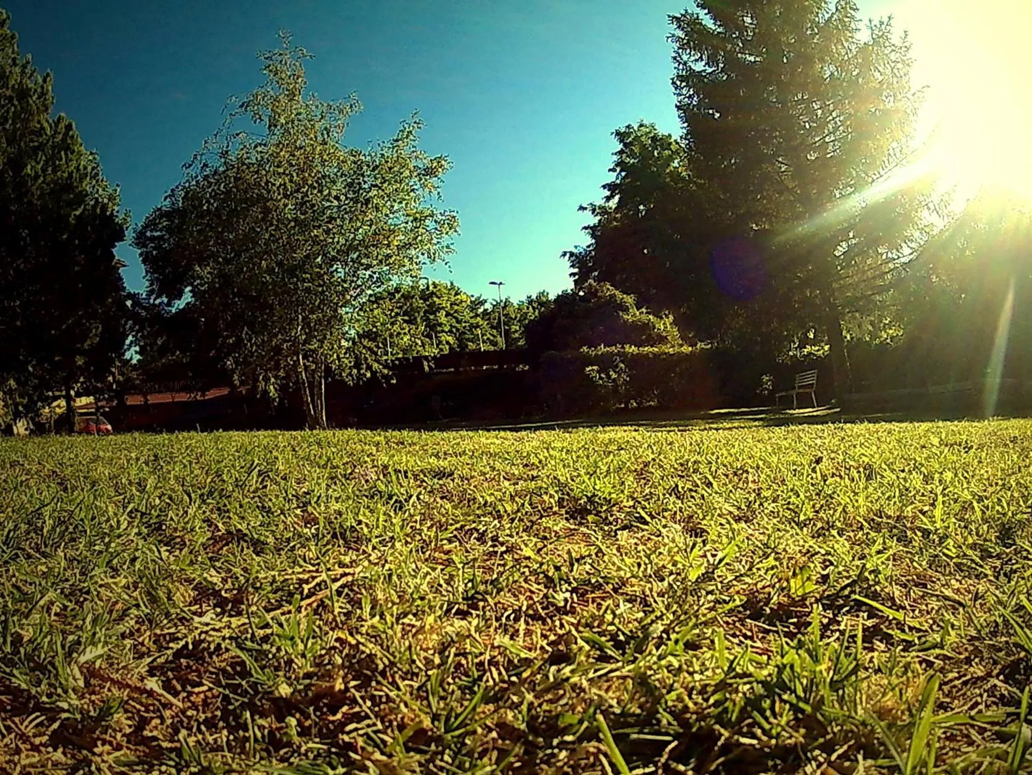 Summer in La Francigena