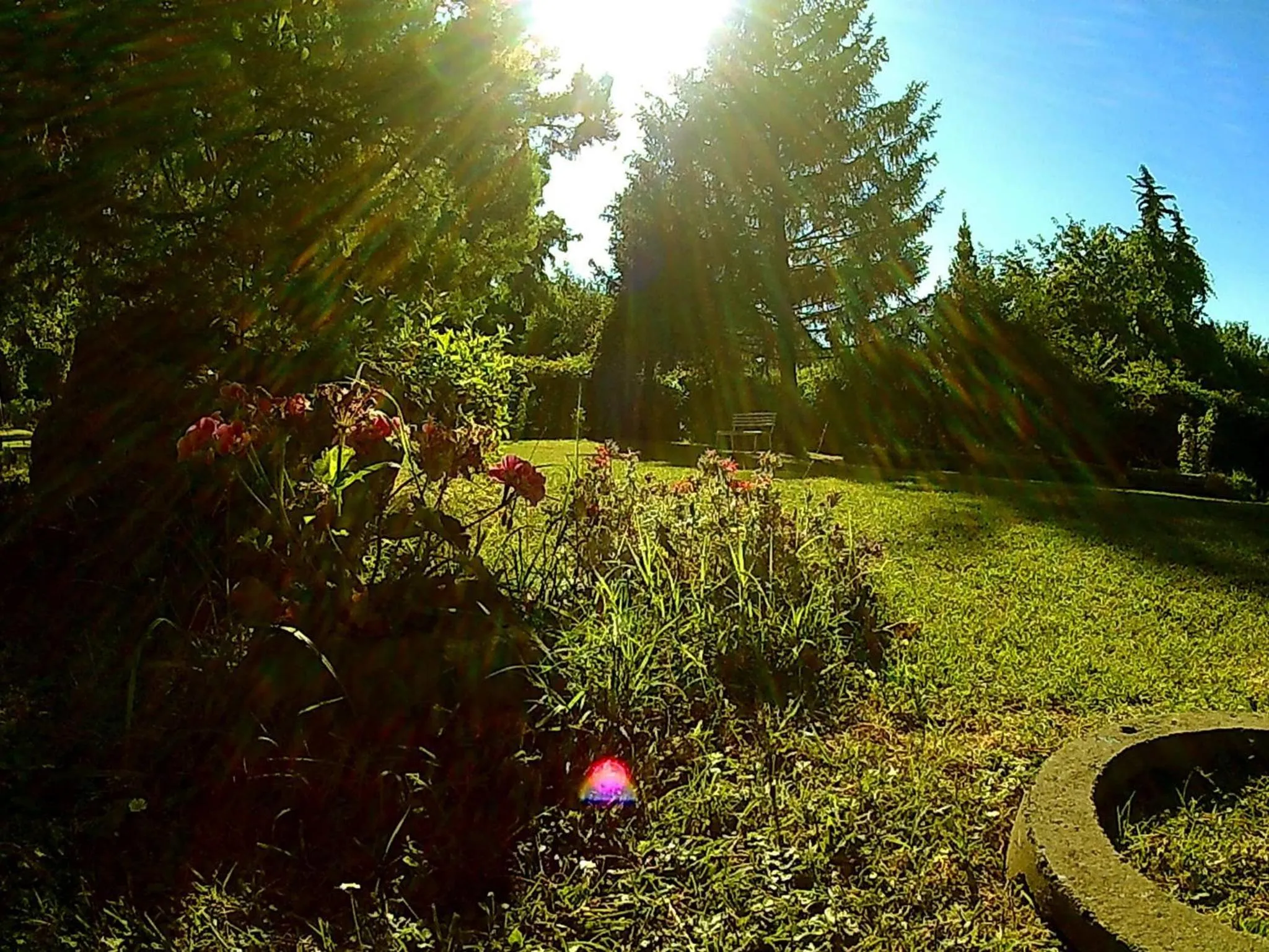 Summer in La Francigena