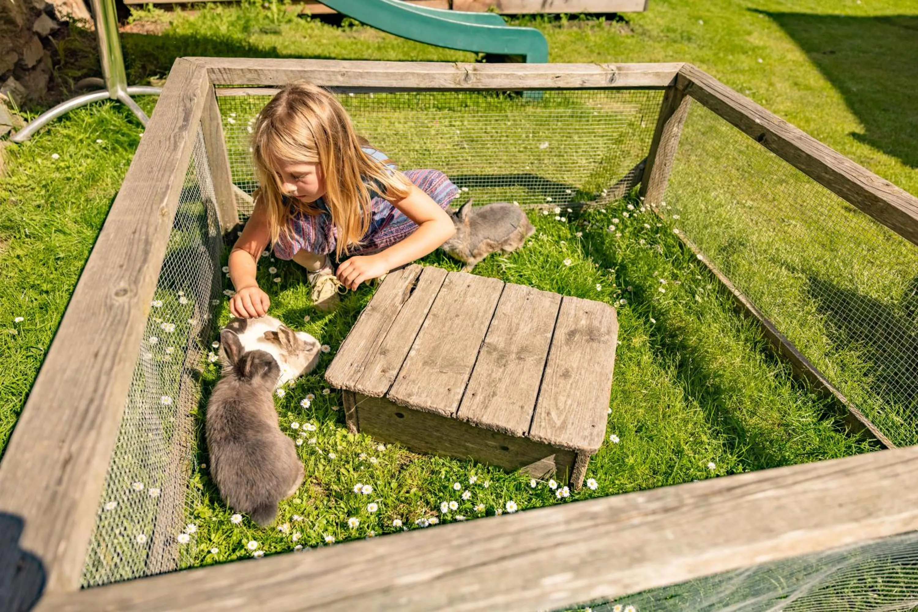 Pets in Biohof Seidl