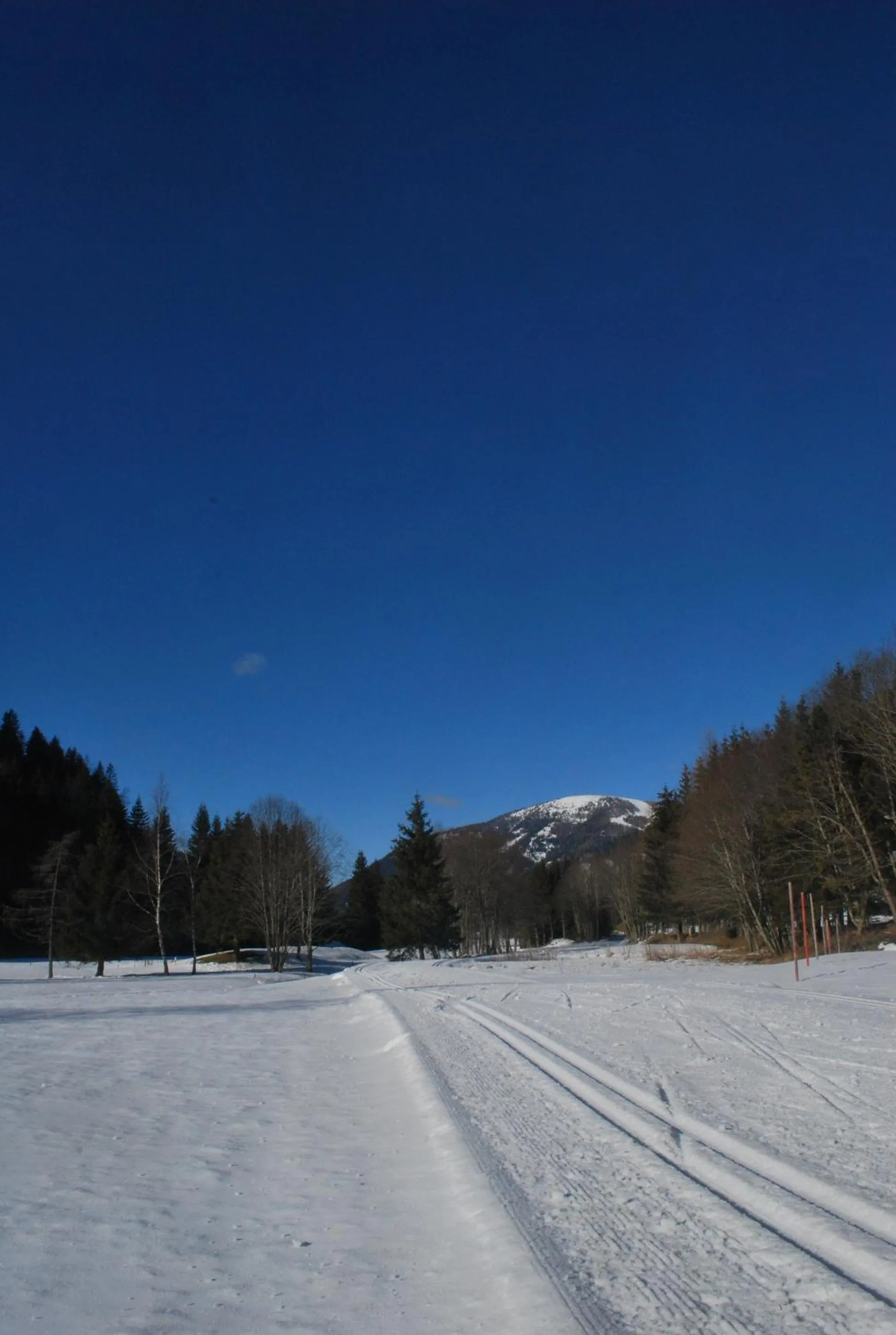 Ski School in Biohof Seidl