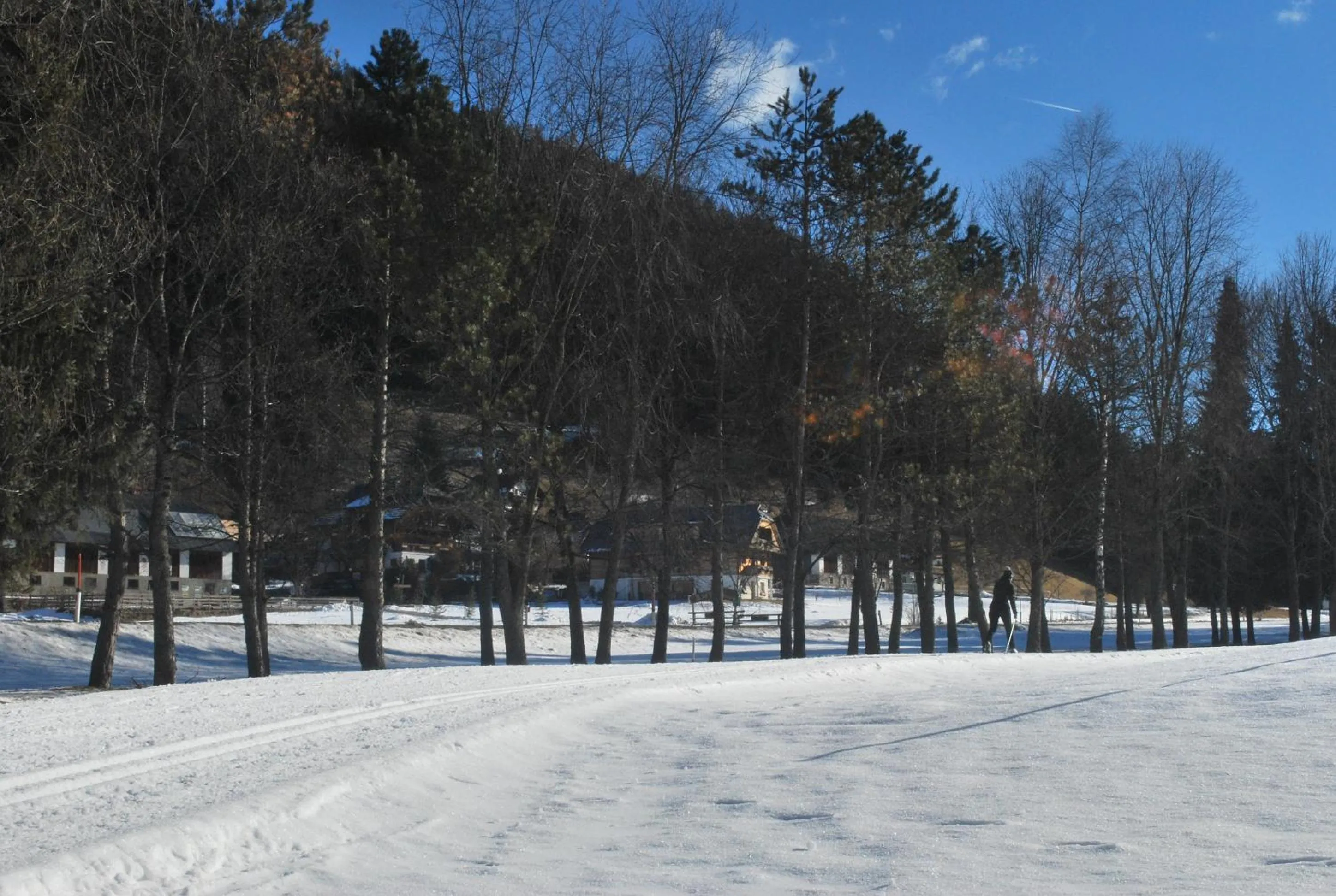 Winter in Biohof Seidl