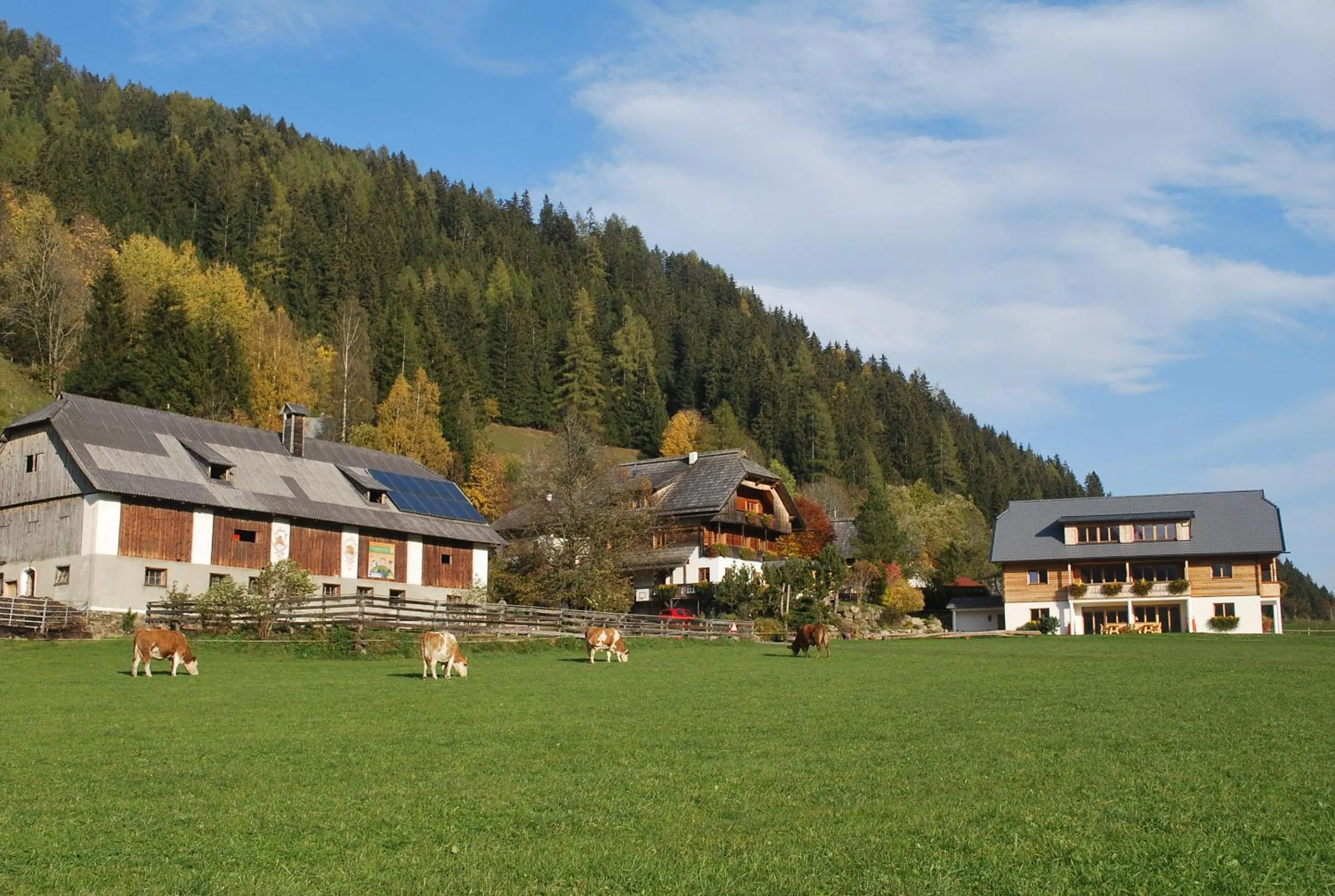 Property building in Biohof Seidl
