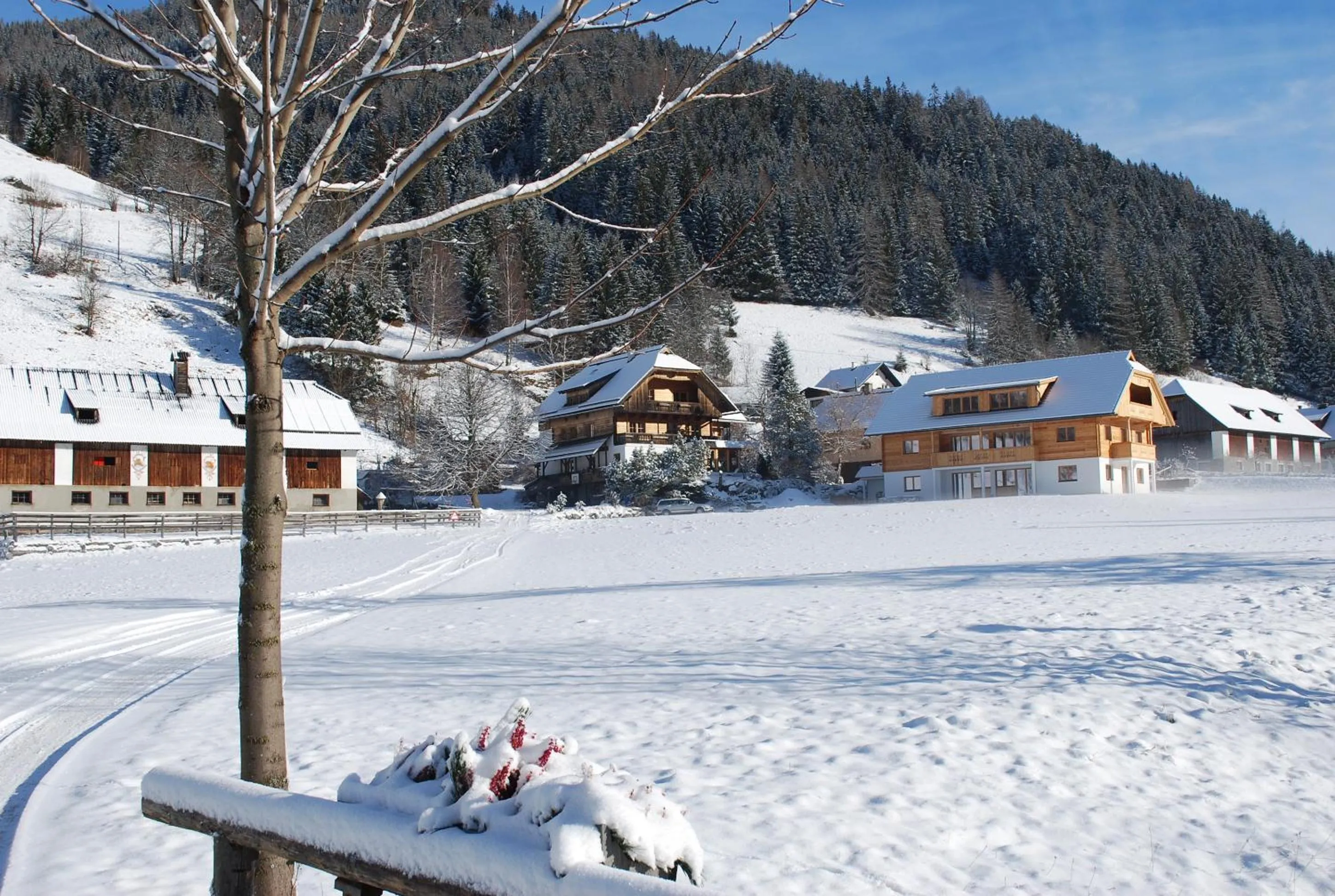 Off site in Biohof Seidl