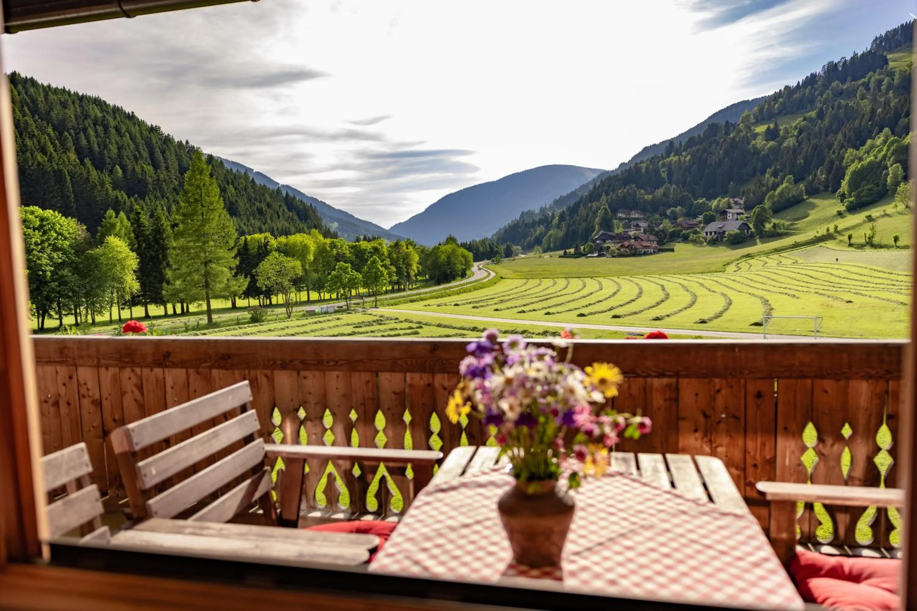 View (from property/room) in Biohof Seidl