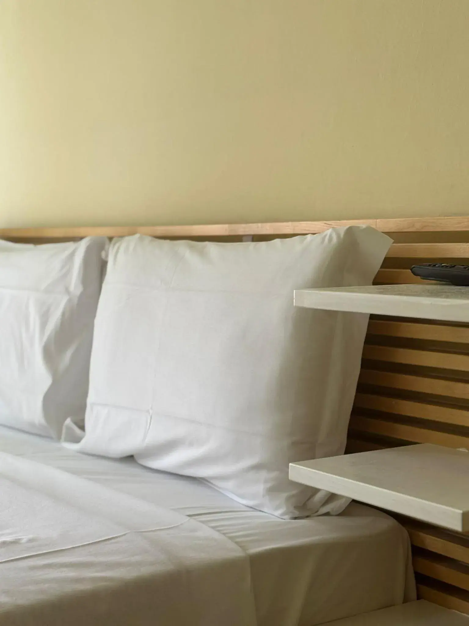 Double Room in Hotel Eureka Double Room in Hotel Eureka