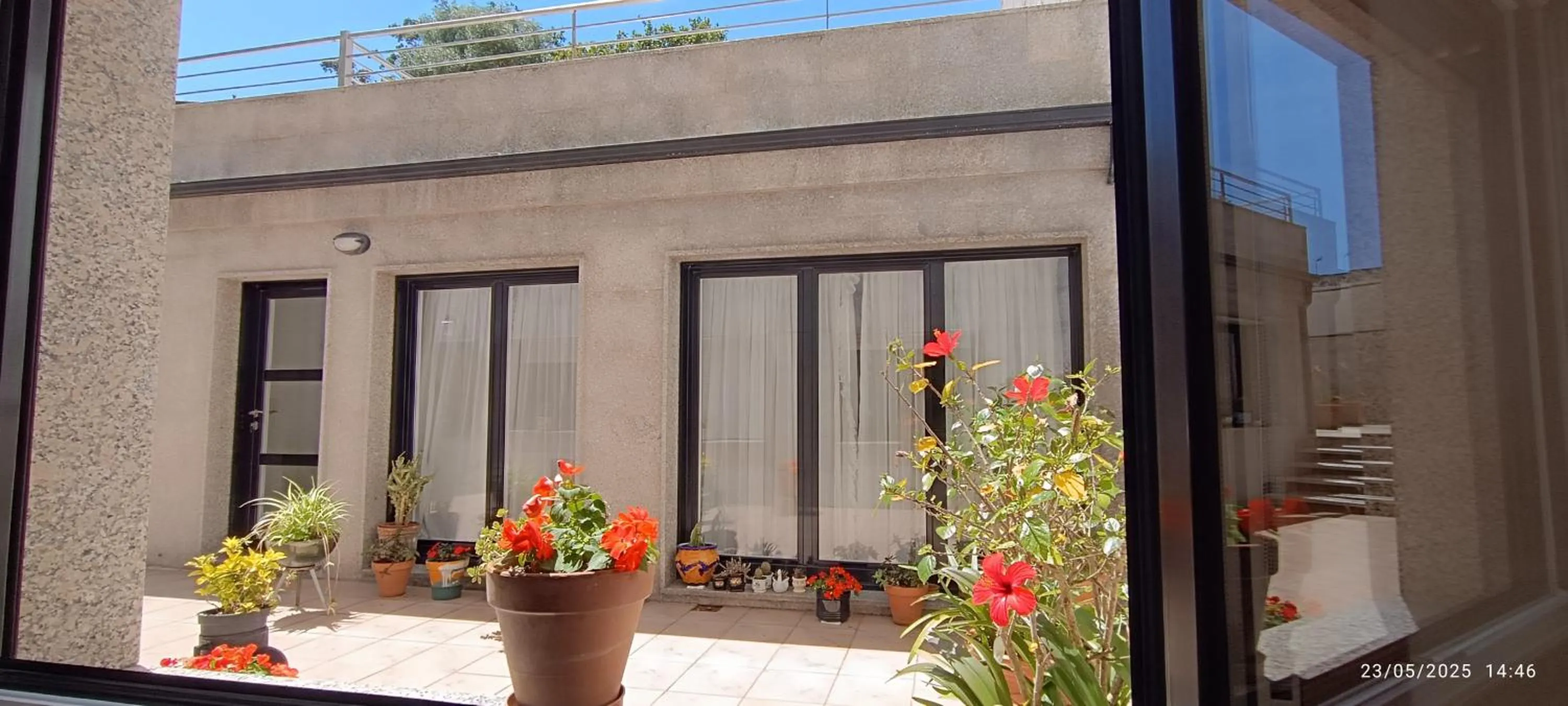 Patio in Hotel Brisa del Mar