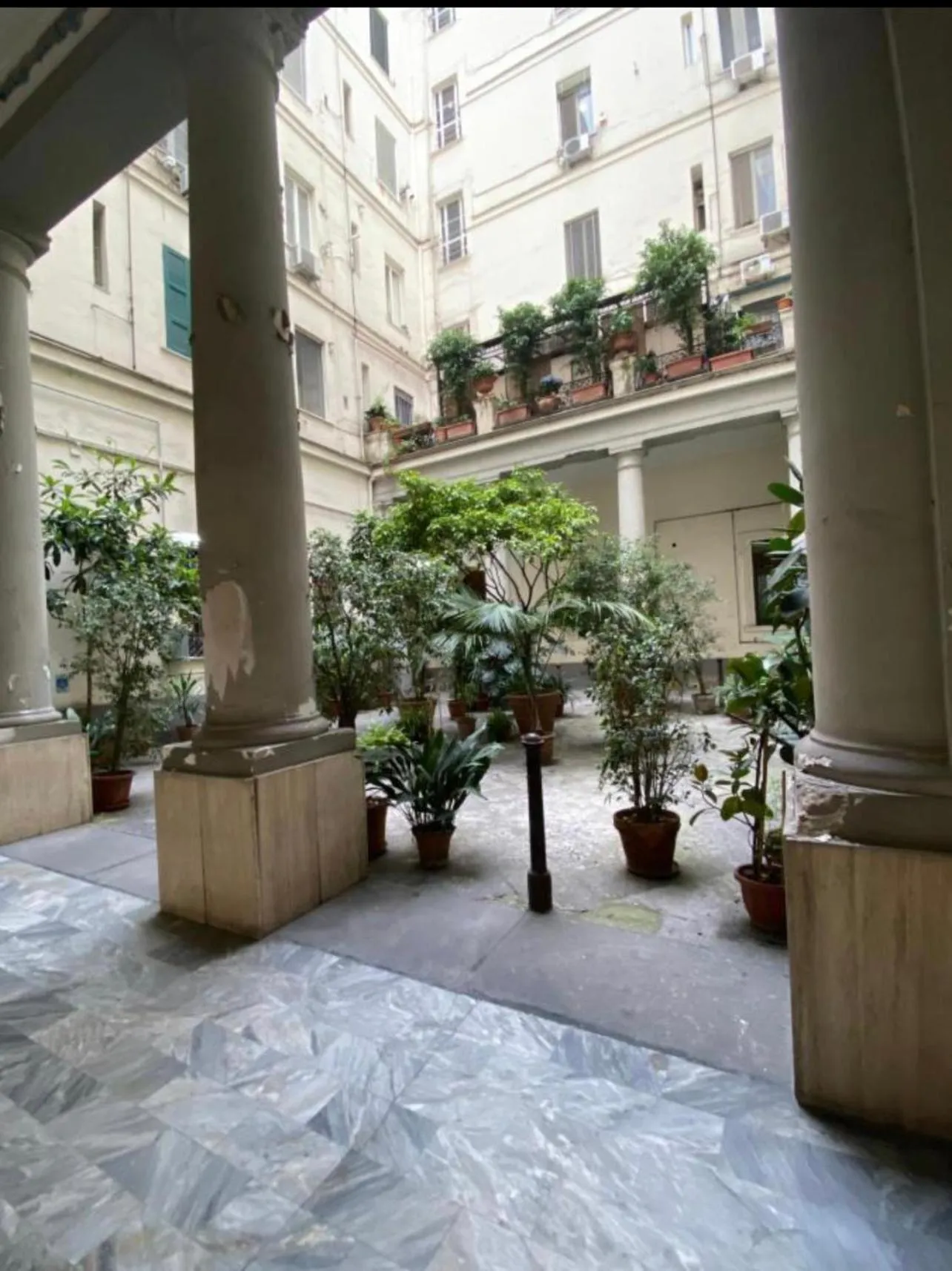 La Lepre felice-bovio