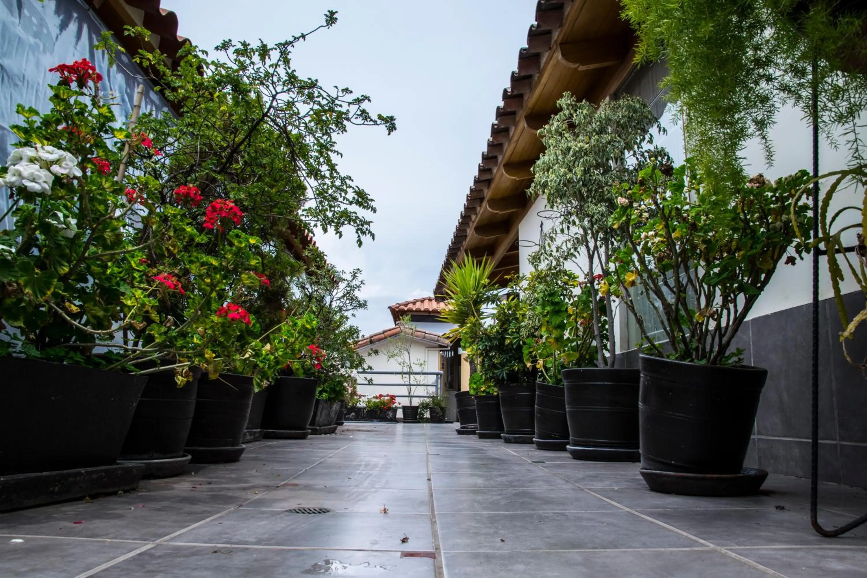 Balcony/Terrace in Maytaq Wasin Boutique Hotel