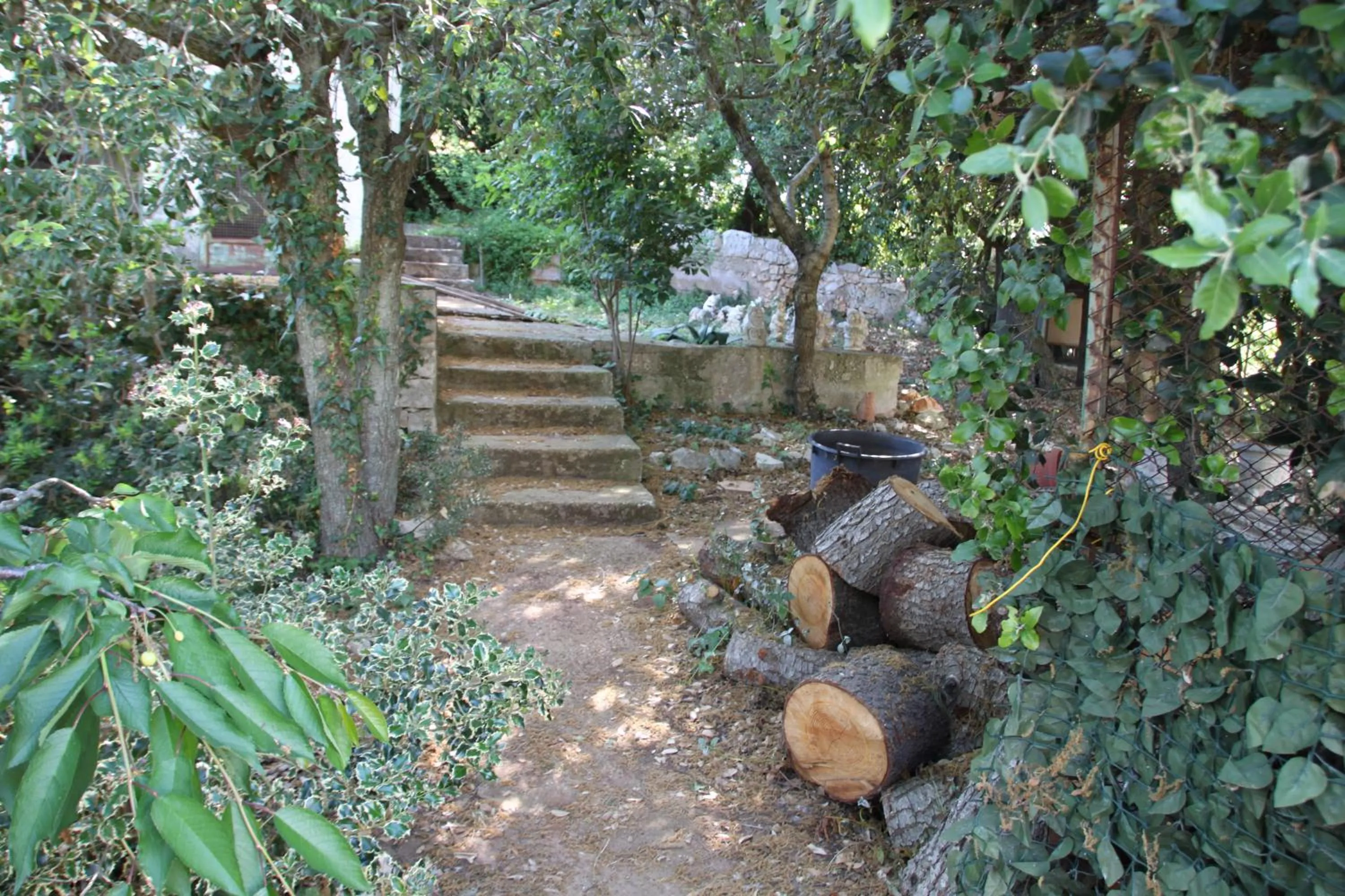 Garden in La casa di Colino e Annina