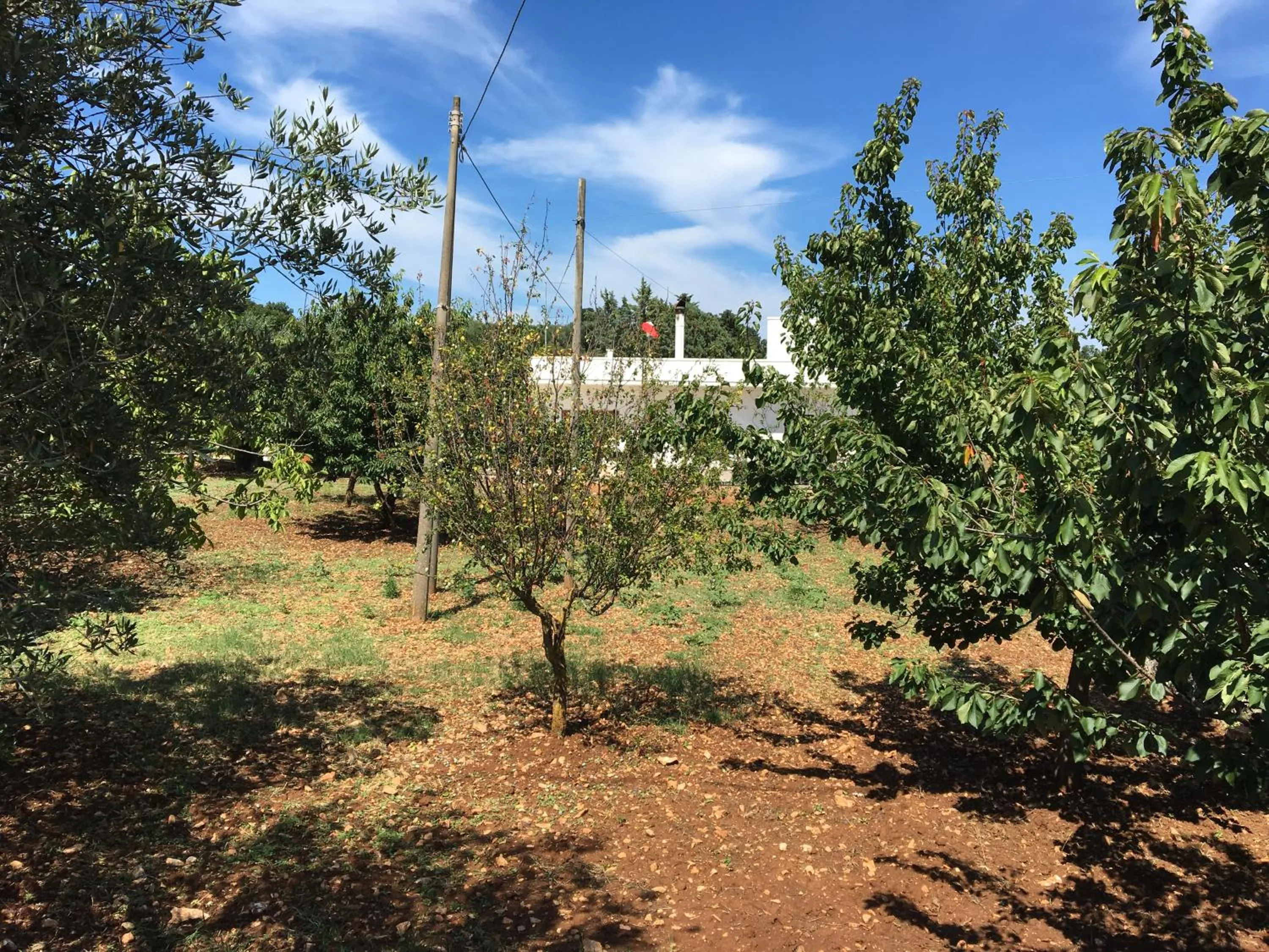 La casa di Colino e Annina