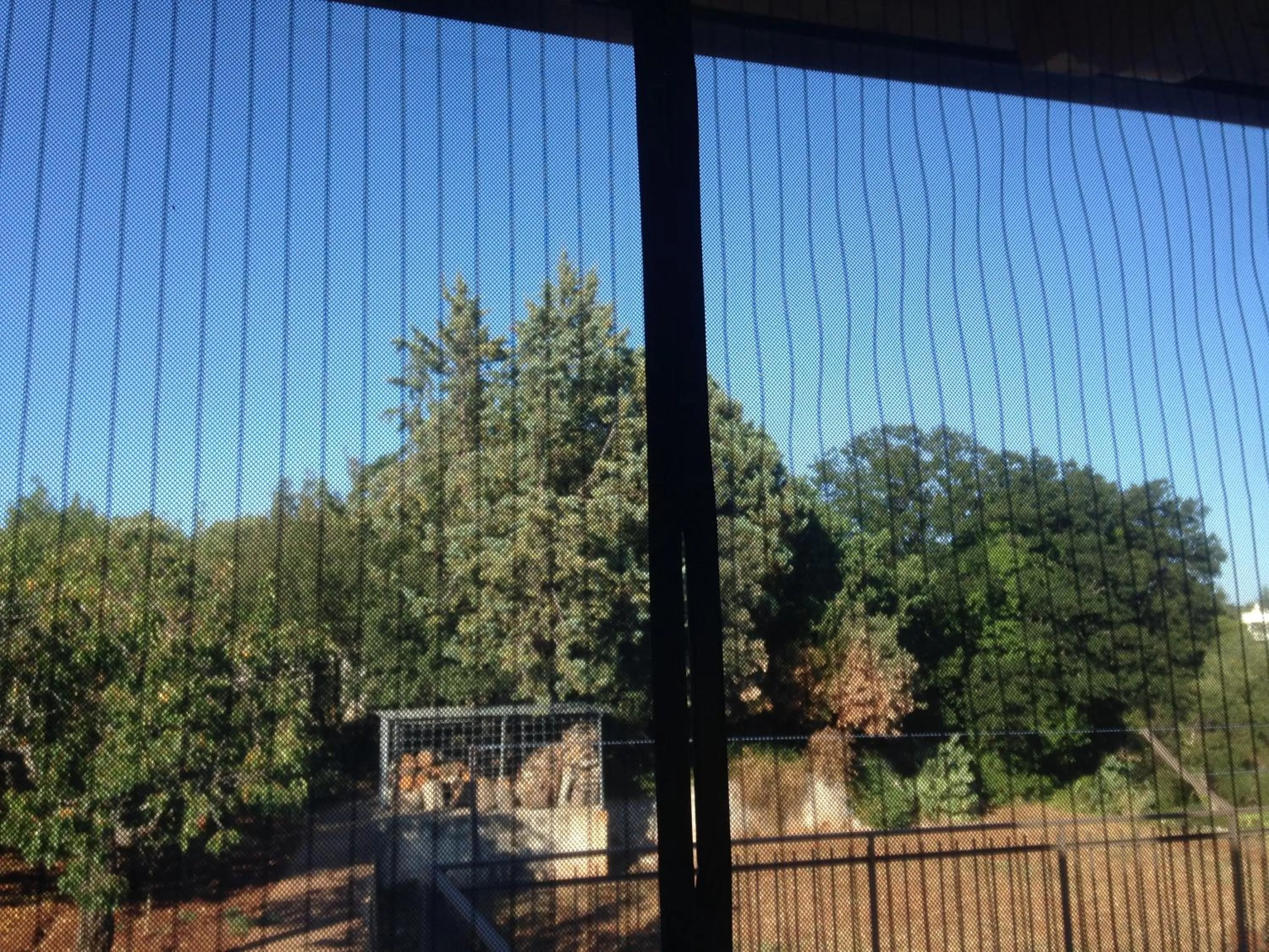 La casa di Colino e Annina
