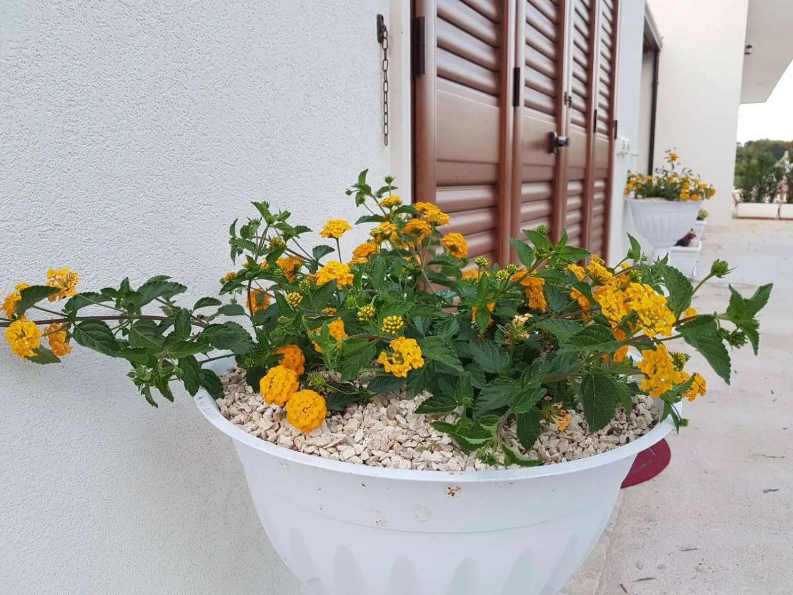 La casa di Colino e Annina