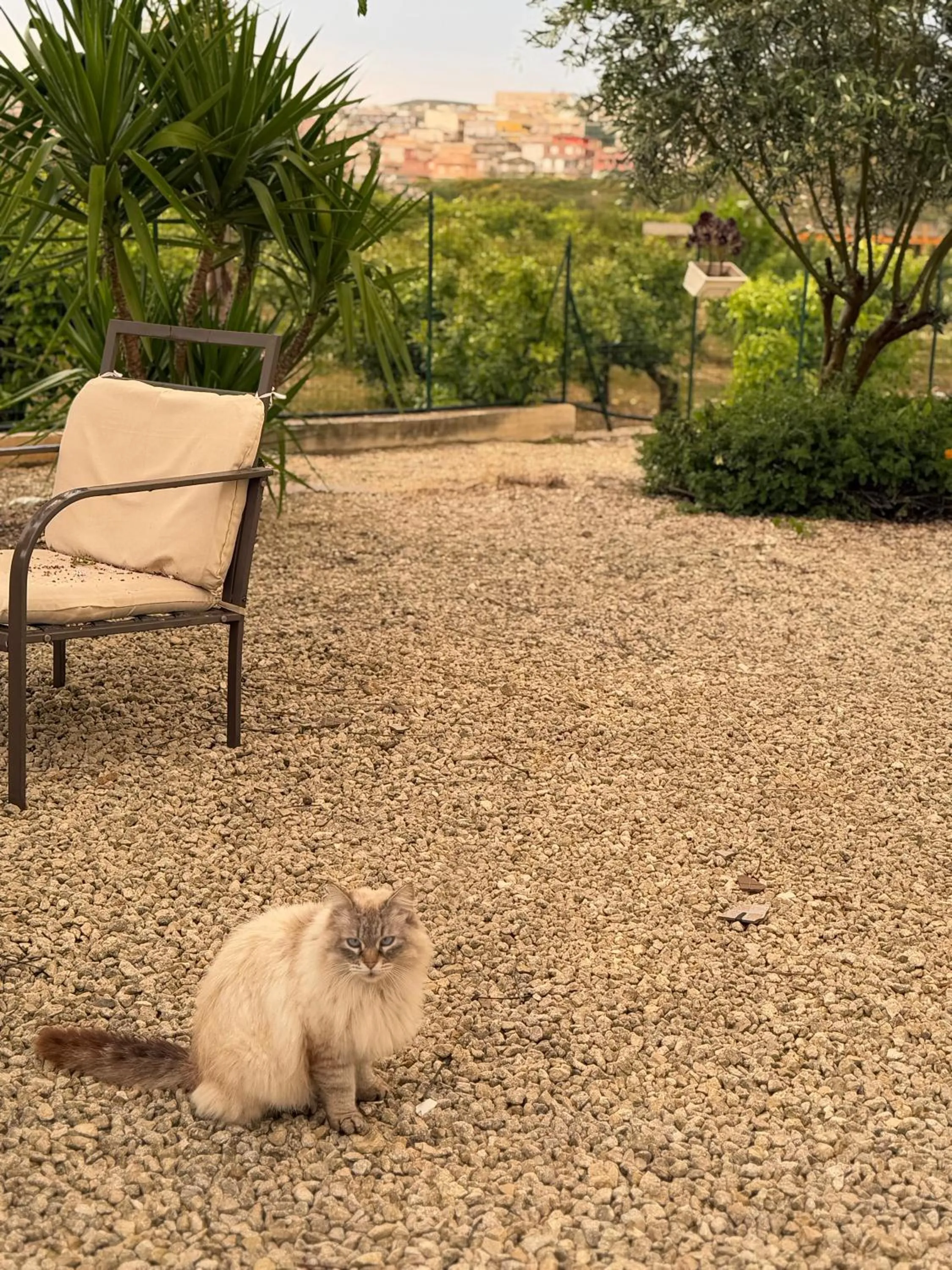 Garden in Villa Landolina