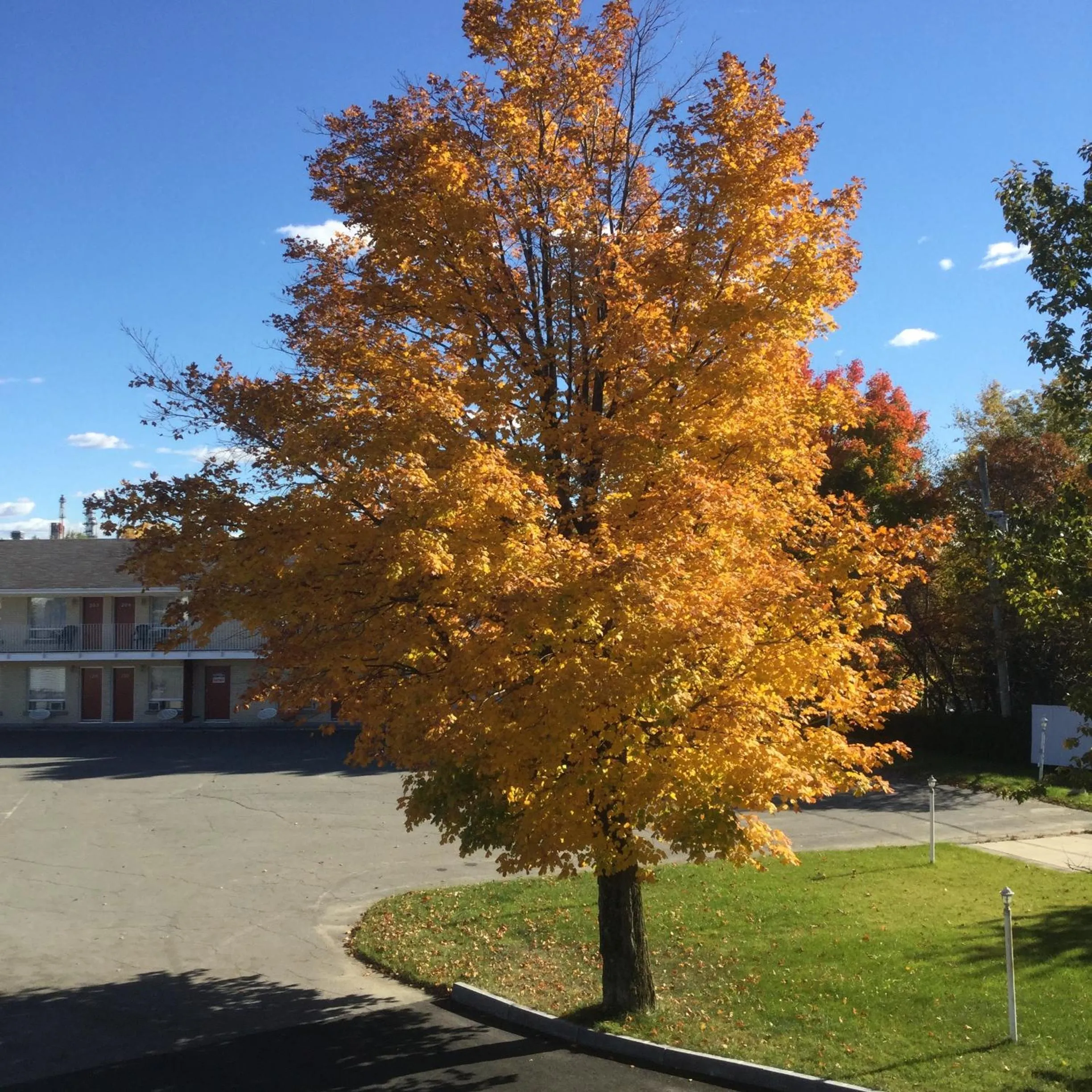 Property building in Hotel Motel Hospitalité