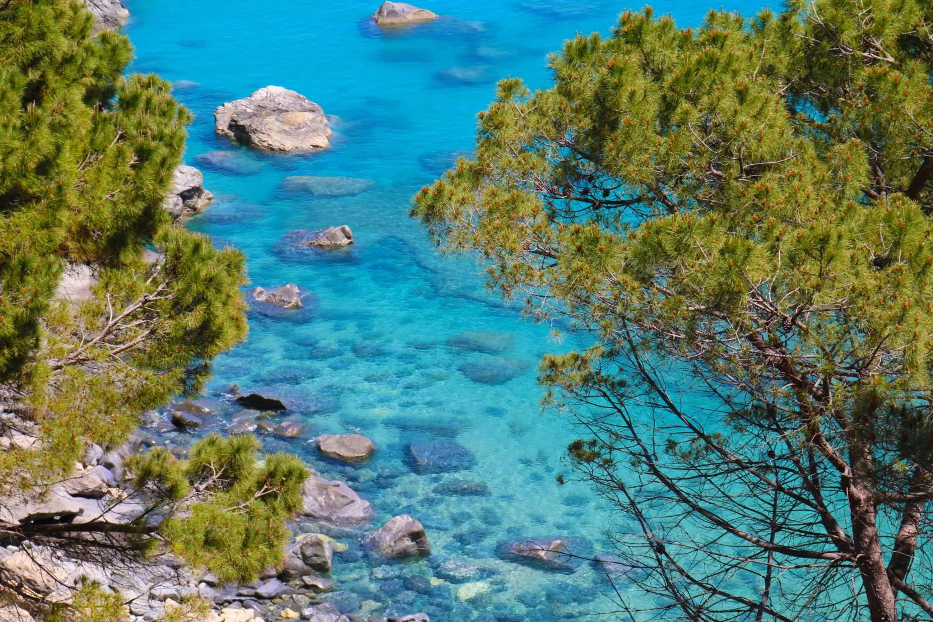 Summer in Affittacamere ISIDE