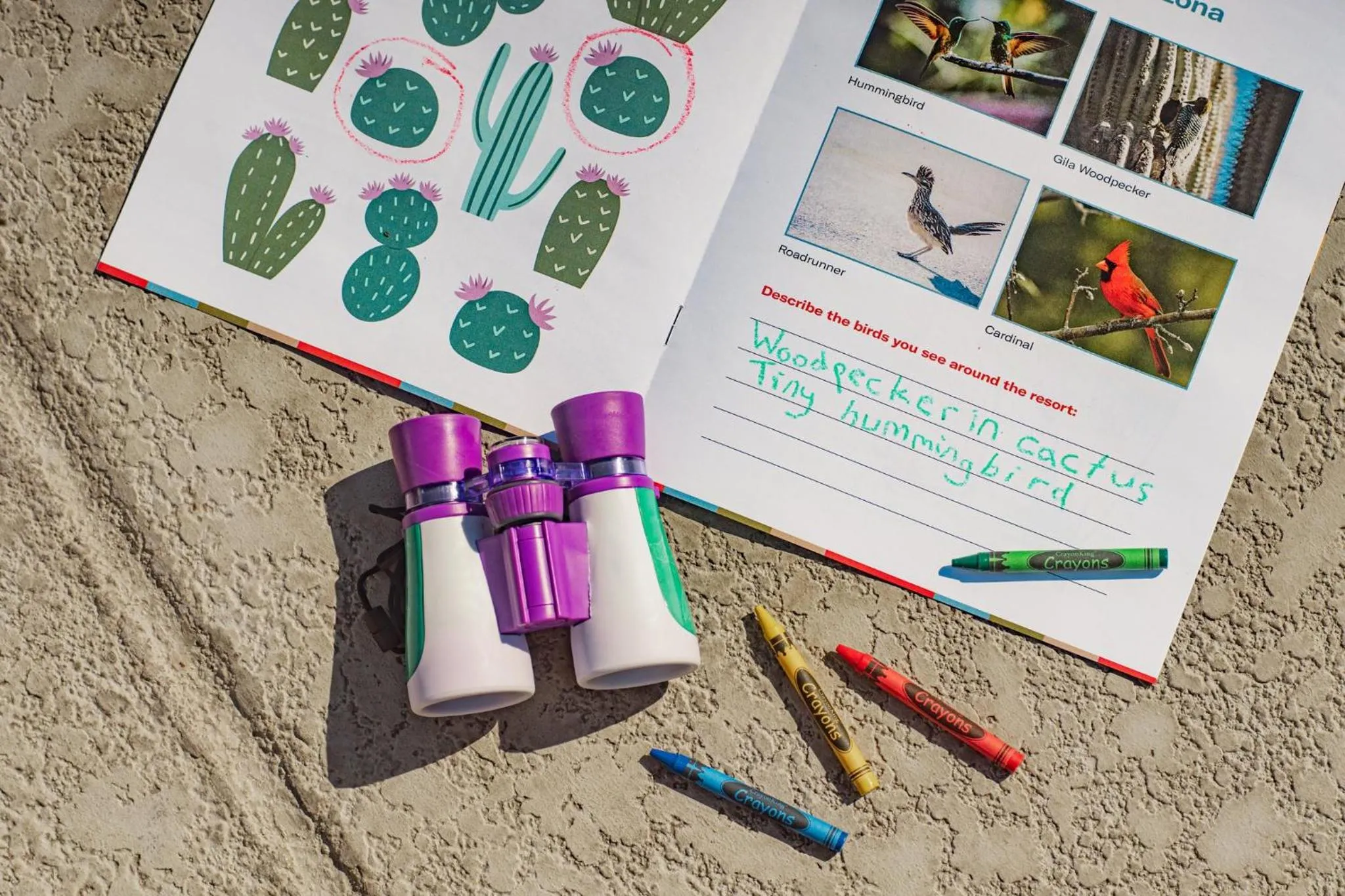 Other in Loews Ventana Canyon Resort