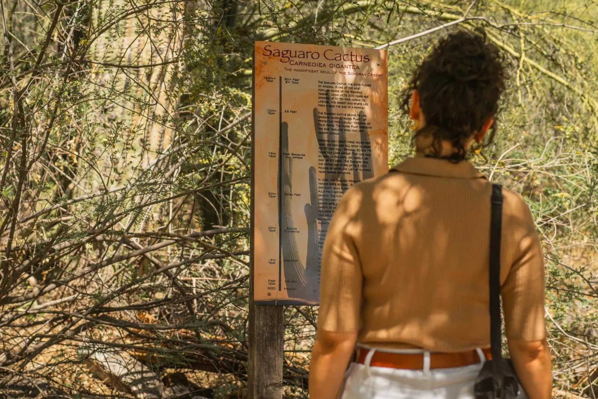 Other in Loews Ventana Canyon Resort