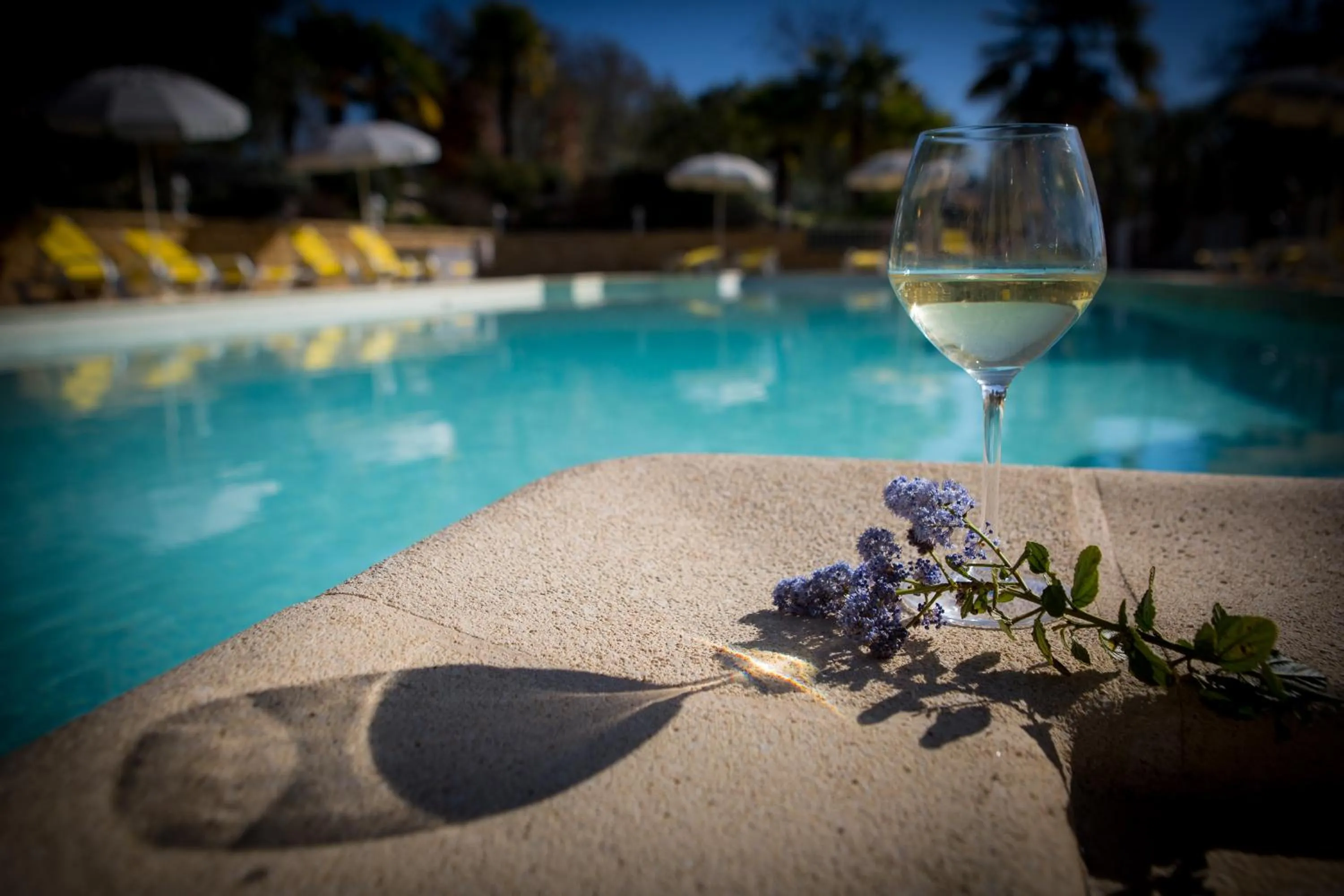 Pool view in Les Magnolias holiday homes