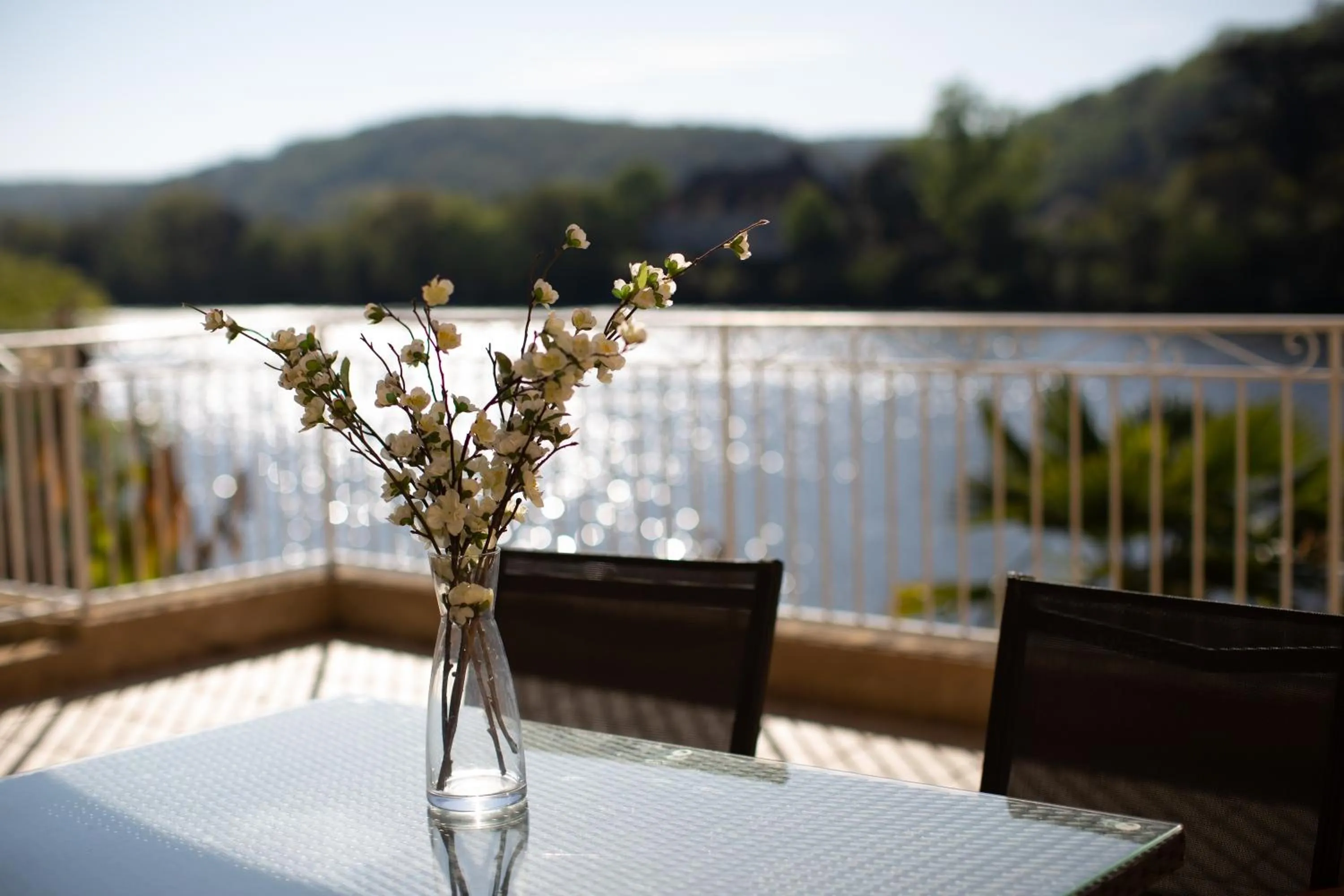 Balcony/Terrace in Les Magnolias holiday homes