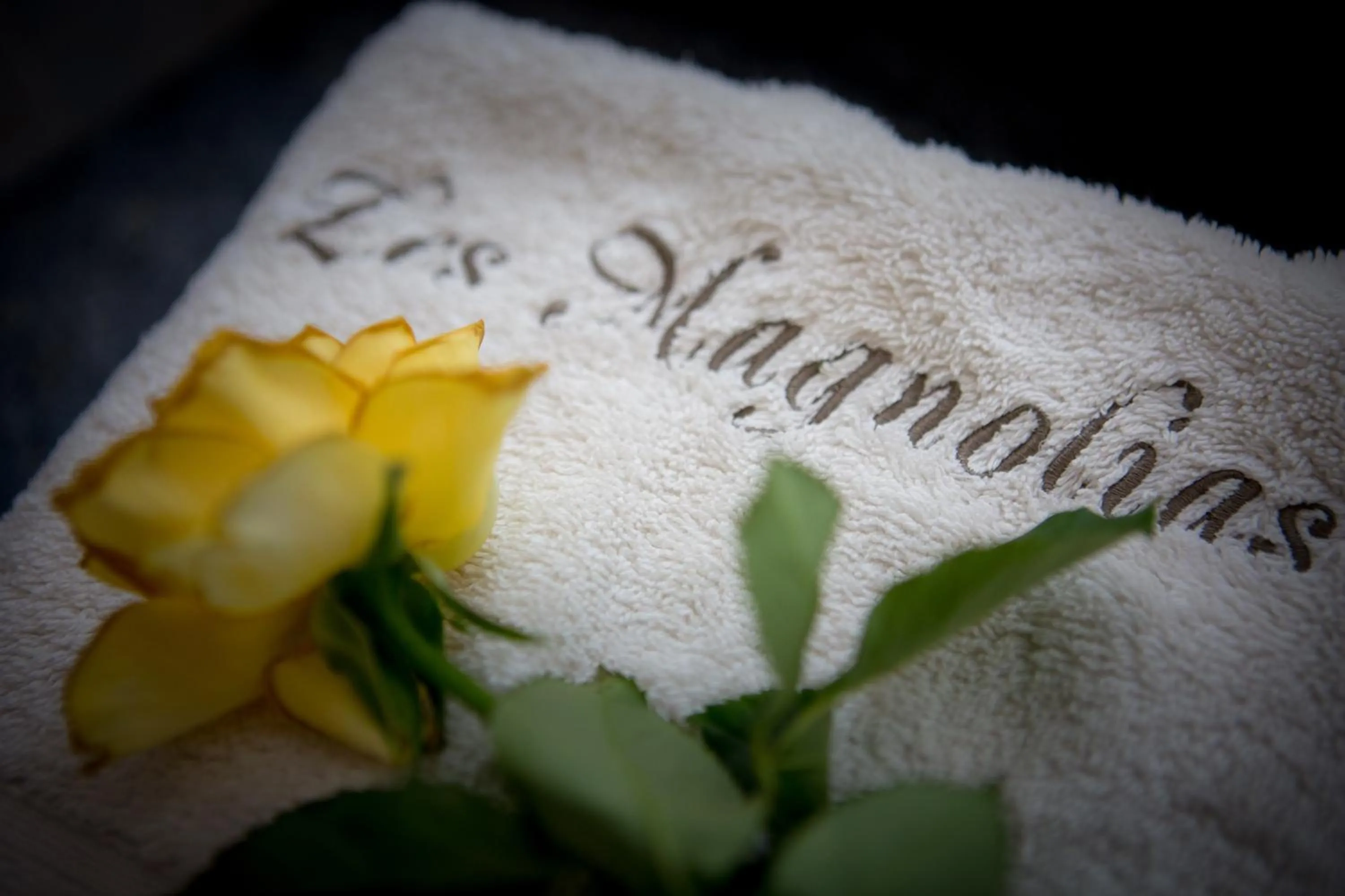 Decorative detail in Les Magnolias holiday homes