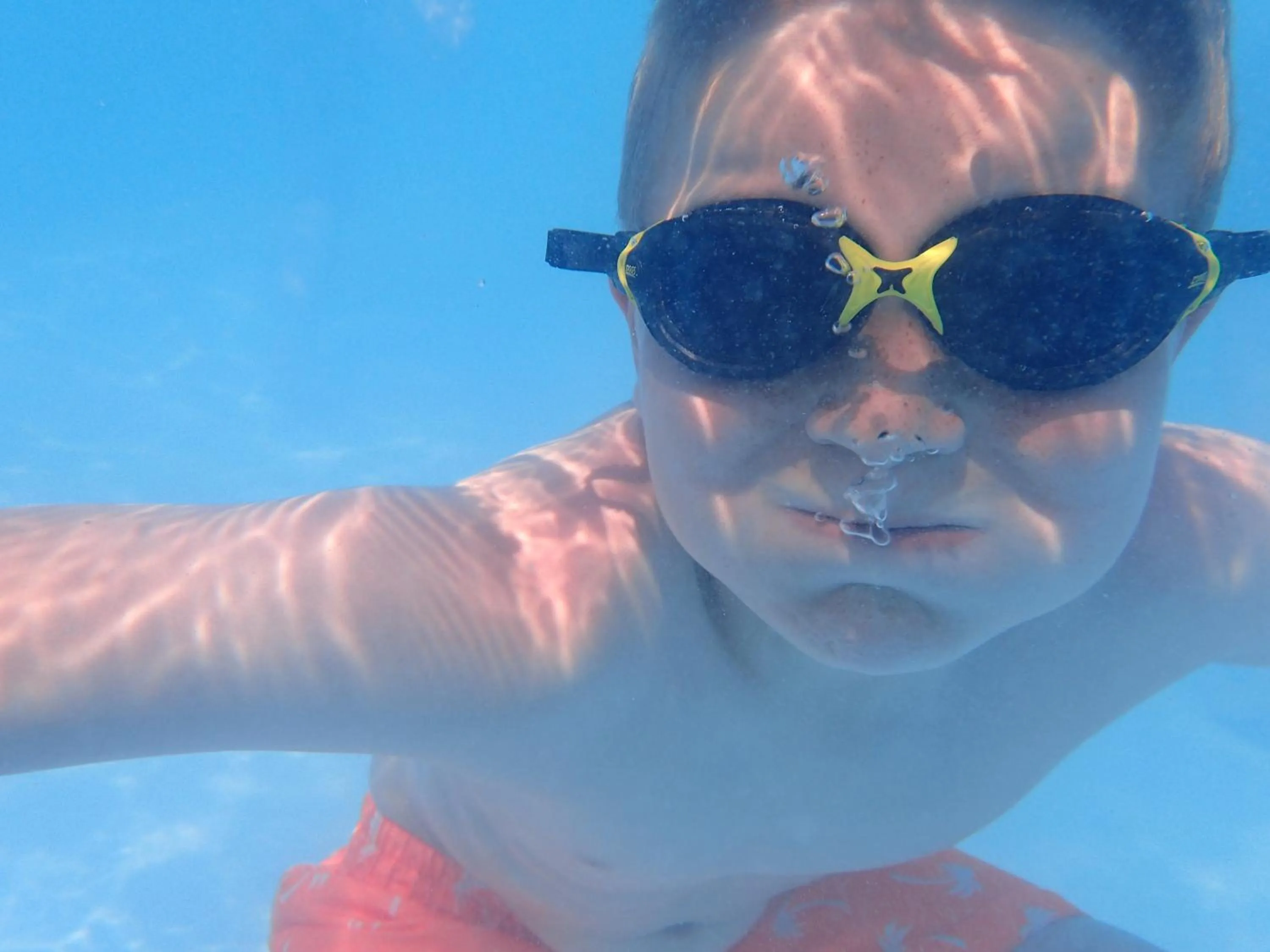 Swimming pool in Holly Tree Hotel, Swimming Pool & Hot Tub