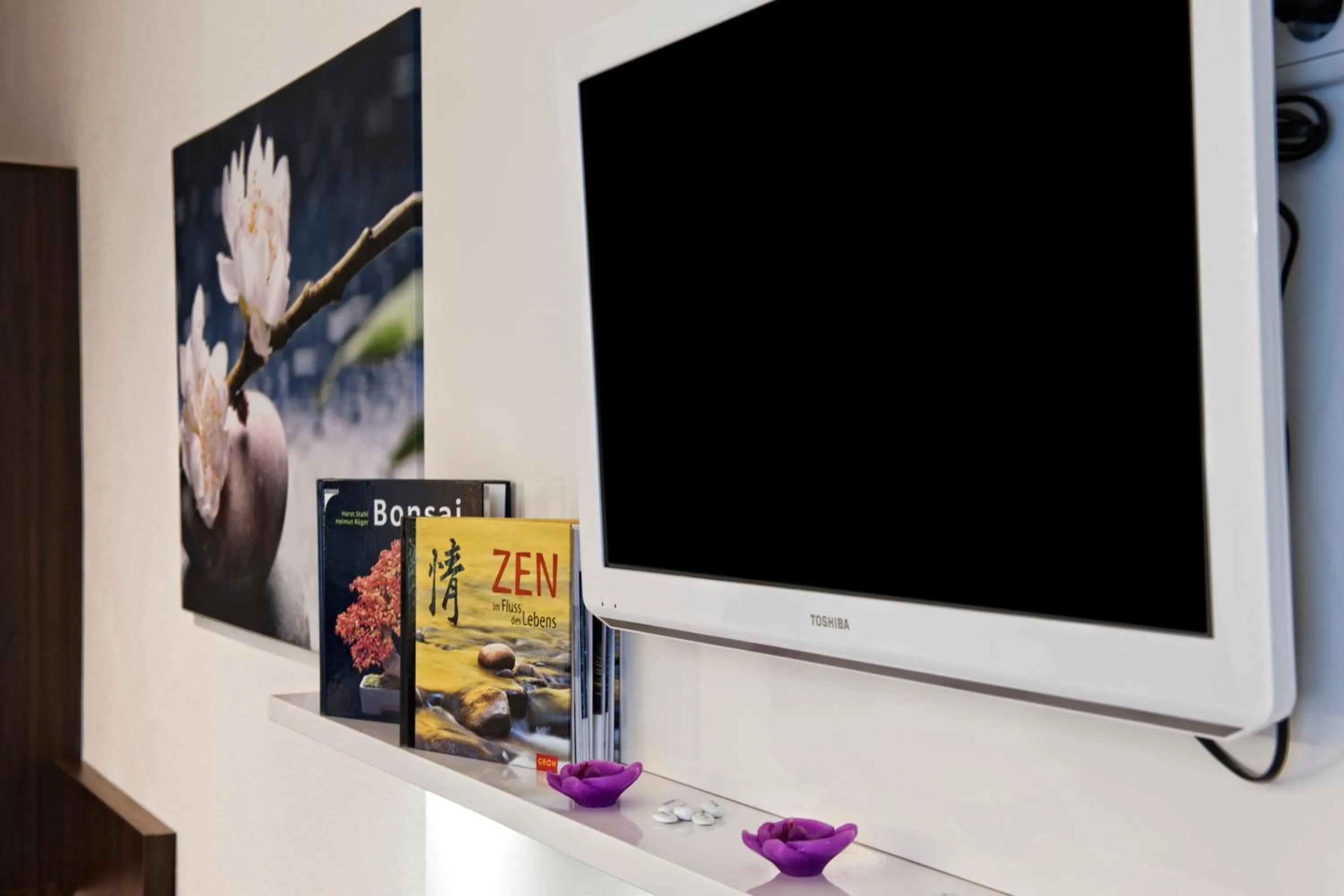 TV and multimedia in Hotel Jungstil