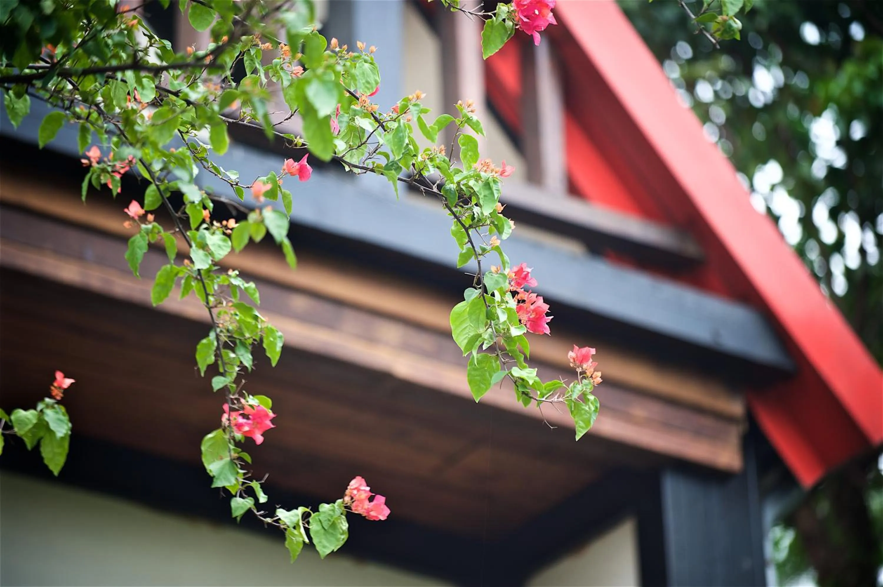 Balcony/Terrace in Shangrila Leisure Farm