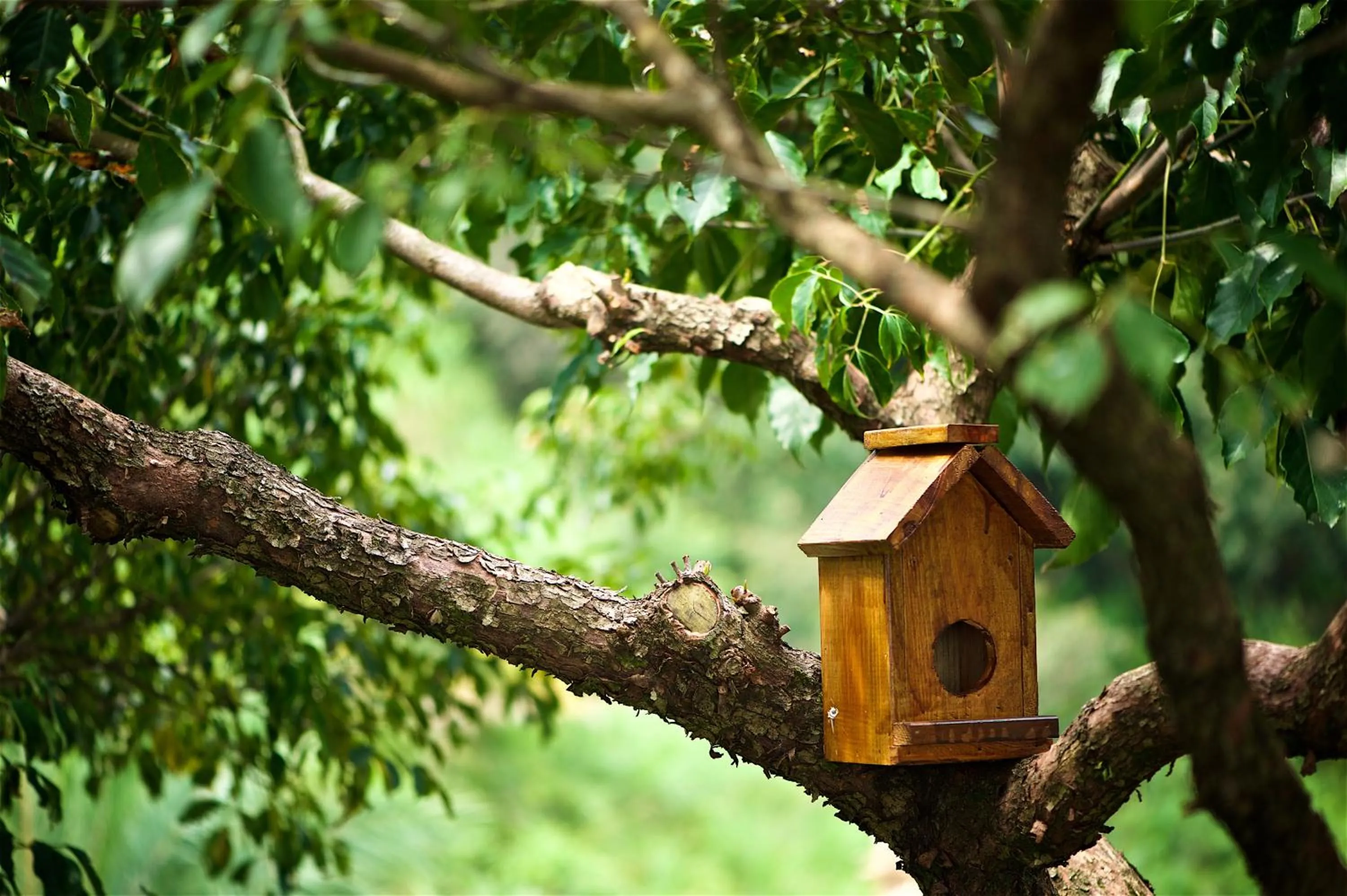 Garden view in Shangrila Leisure Farm