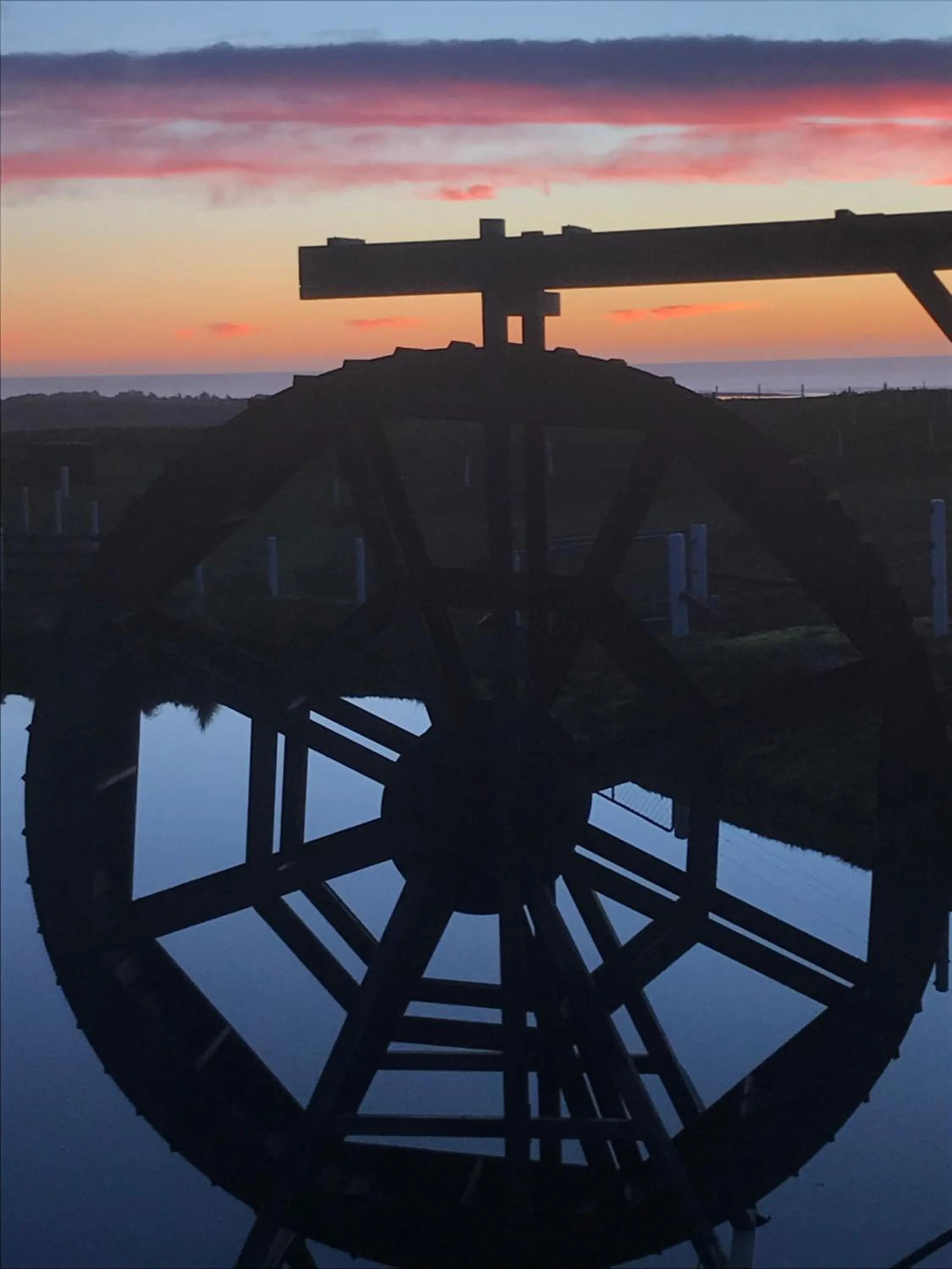 Garden view in Stations Inn