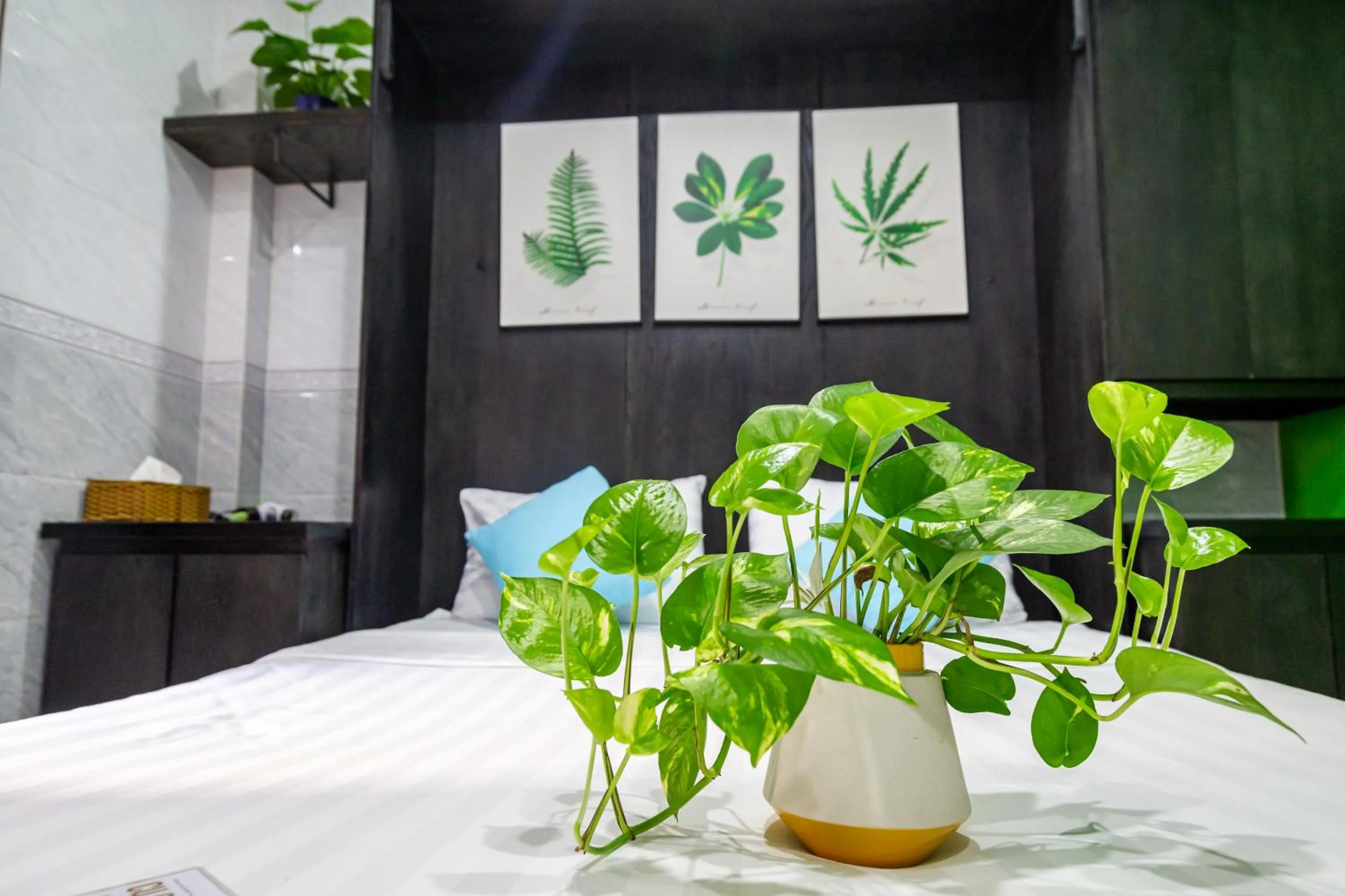 Area and facilities, Bed in Cola's Homestay