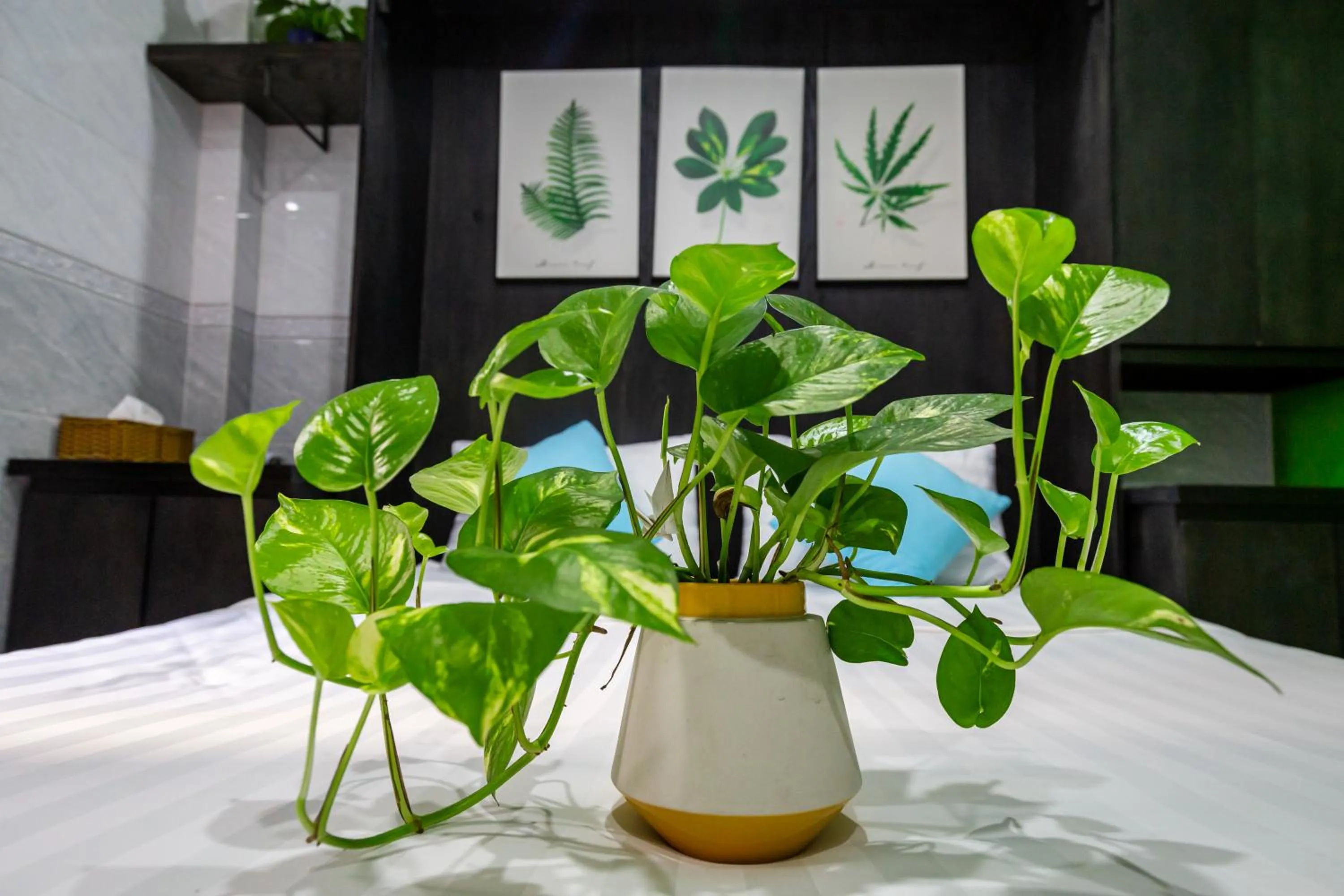 Bedroom in Cola's Homestay