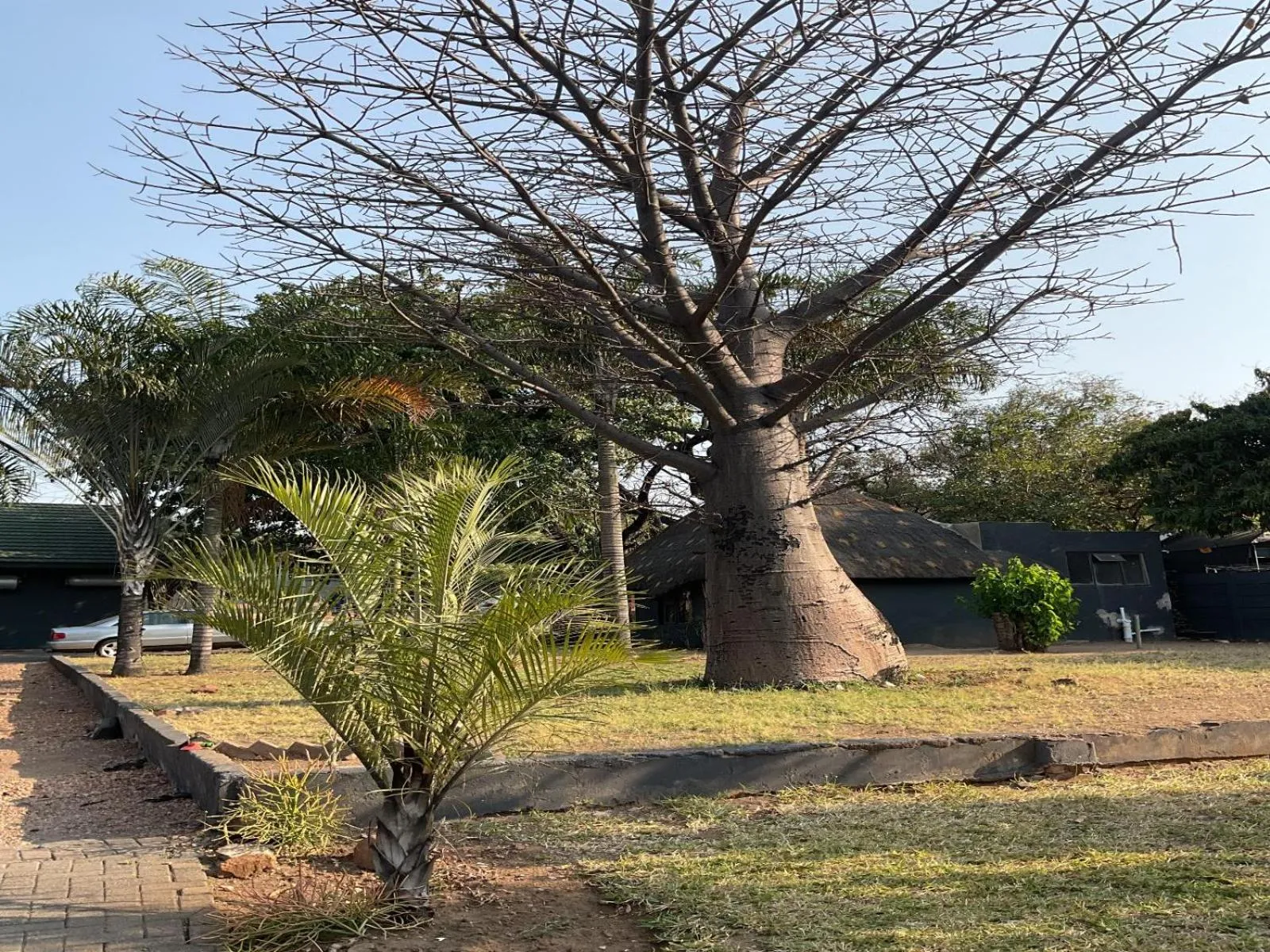 Garden view in Bothabelo Bed and Breakfast
