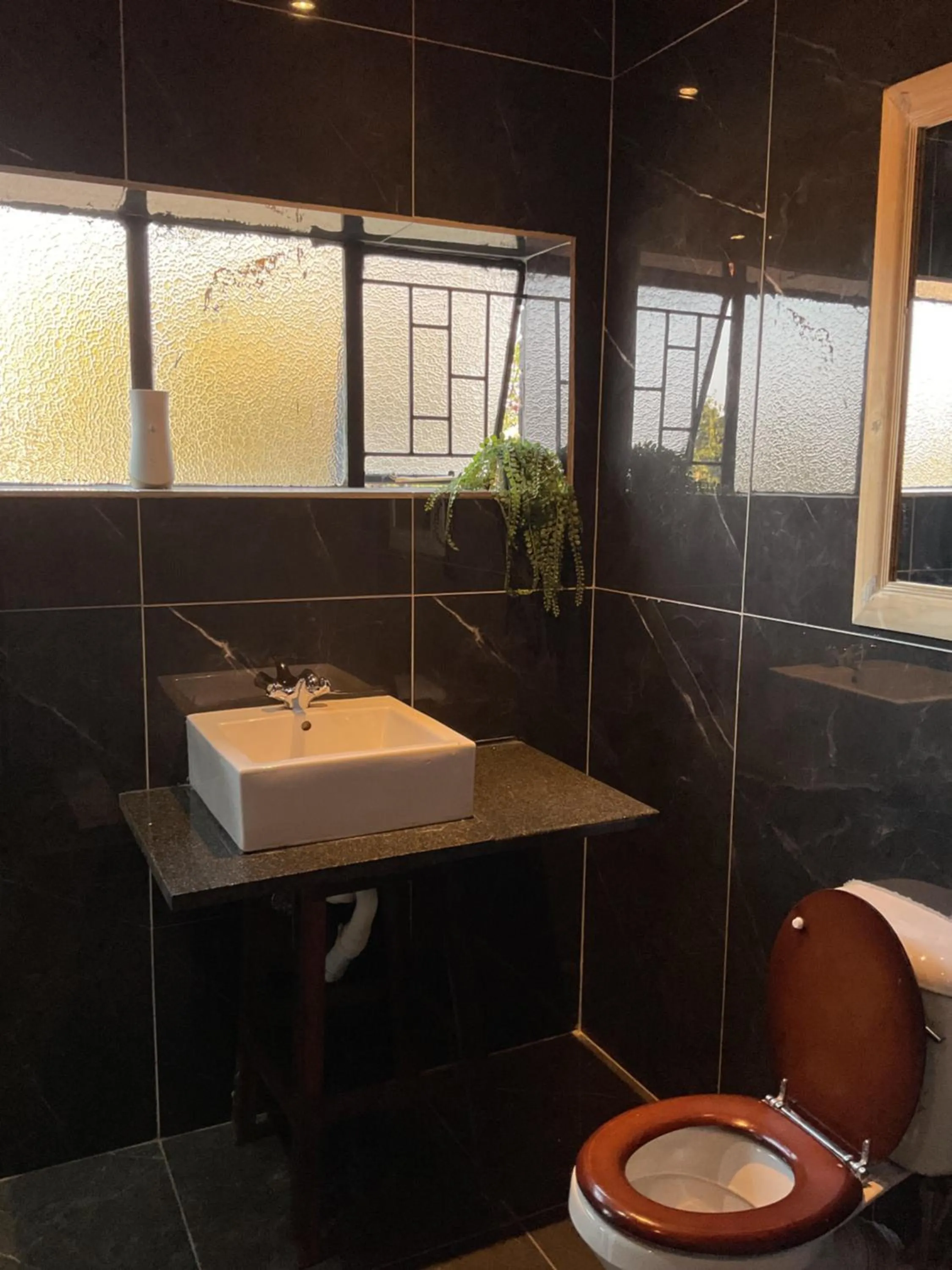 Bathroom in Bothabelo Bed and Breakfast