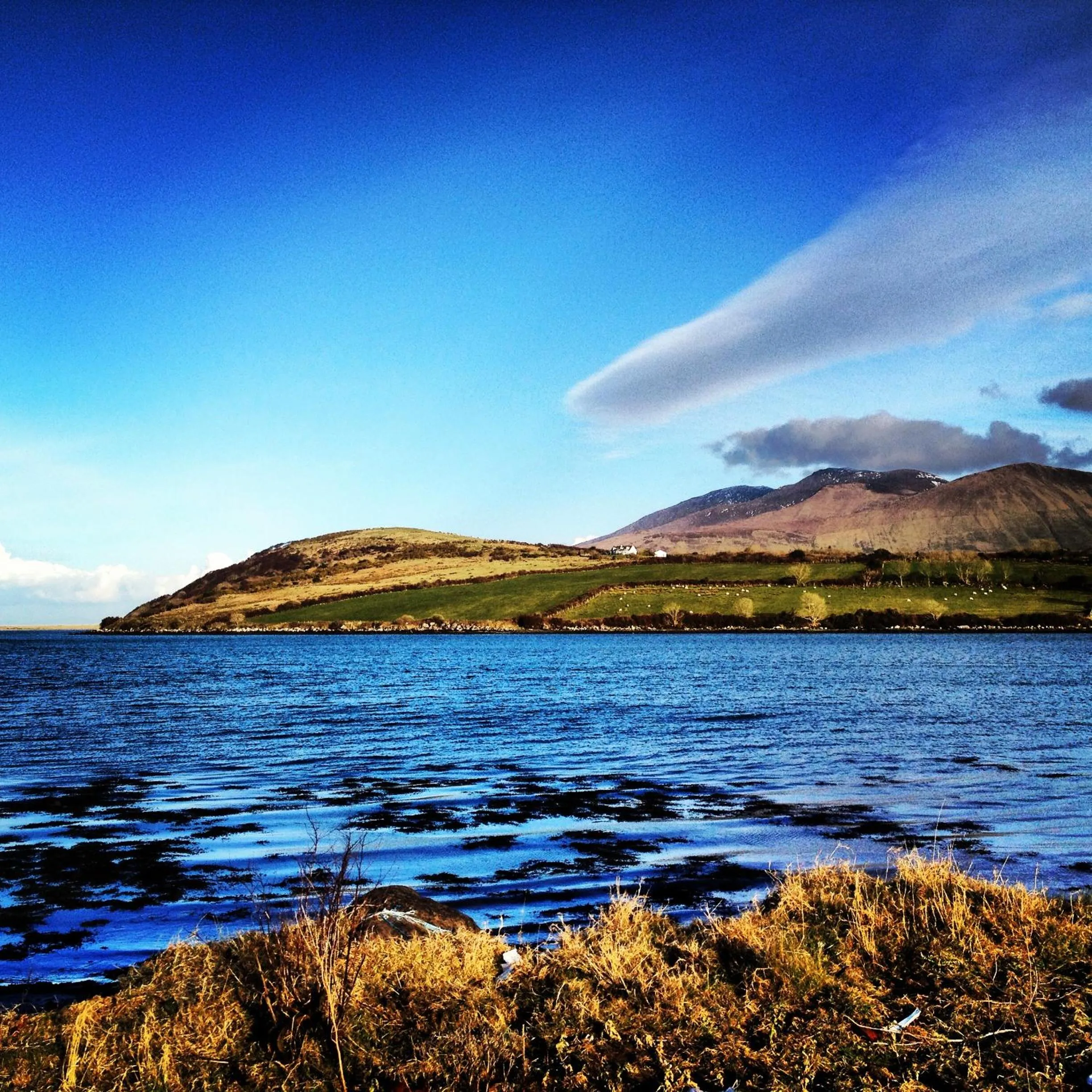 Other in O'Connors Guesthouse