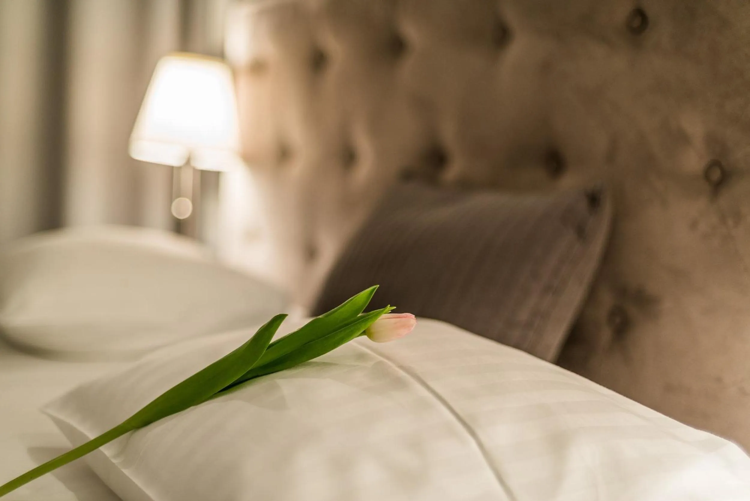 Decorative detail, Bed in Triton Park Apartments
