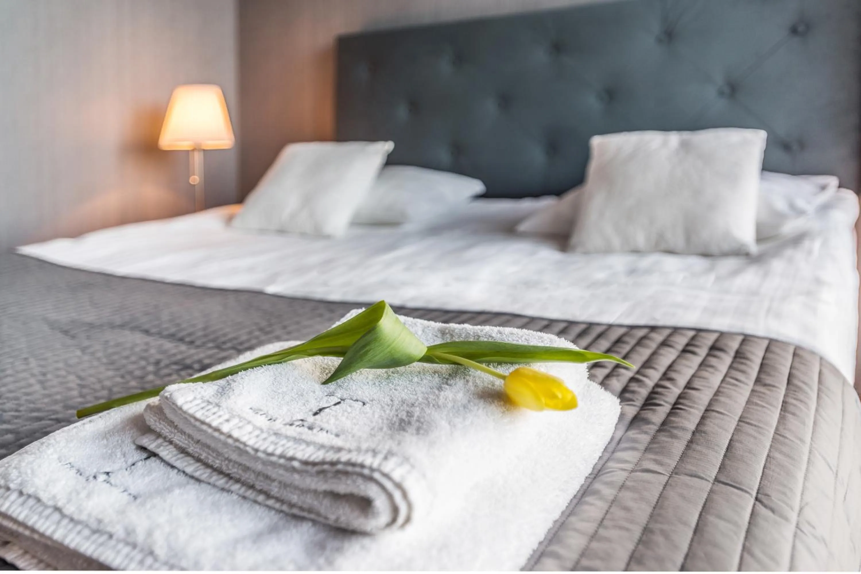 Bed in Triton Park Apartments