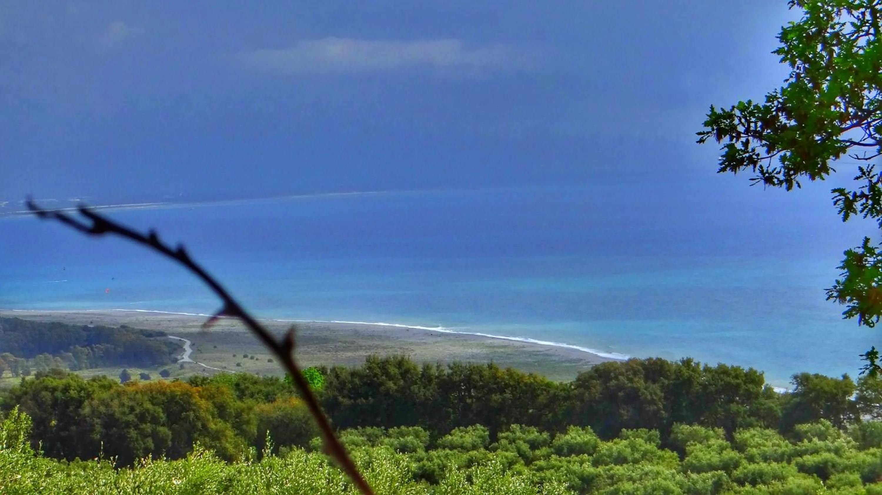 Fishing in Villa Amalia Srls