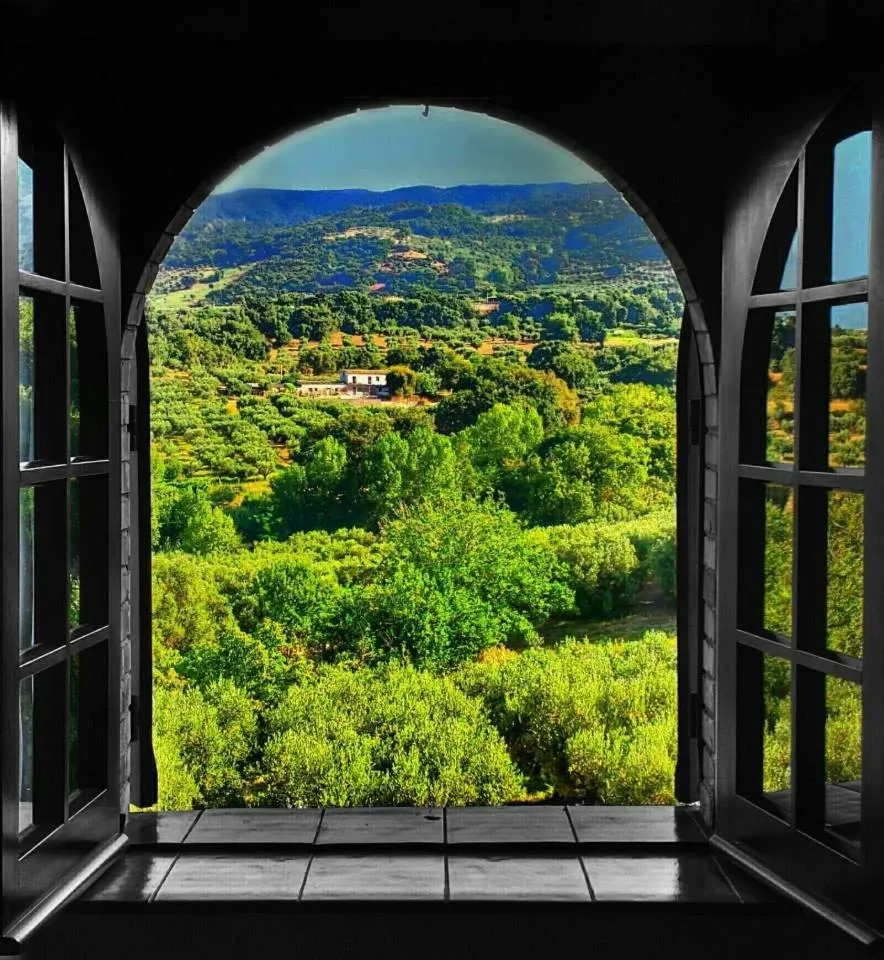 Garden view in Villa Amalia Srls