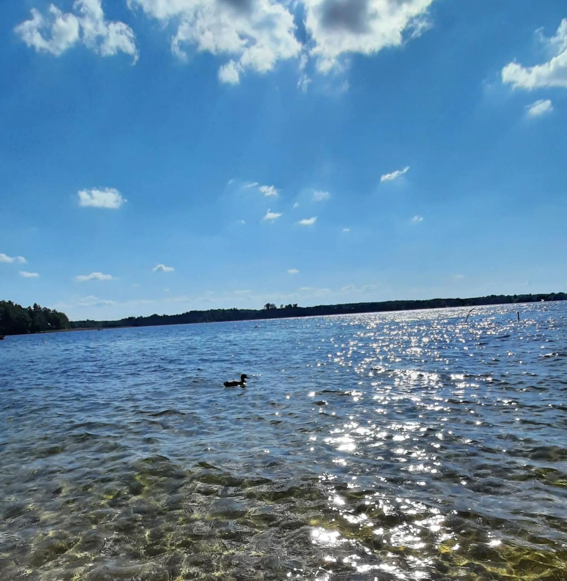 Lake view in Dom Letniskowy HELENA
