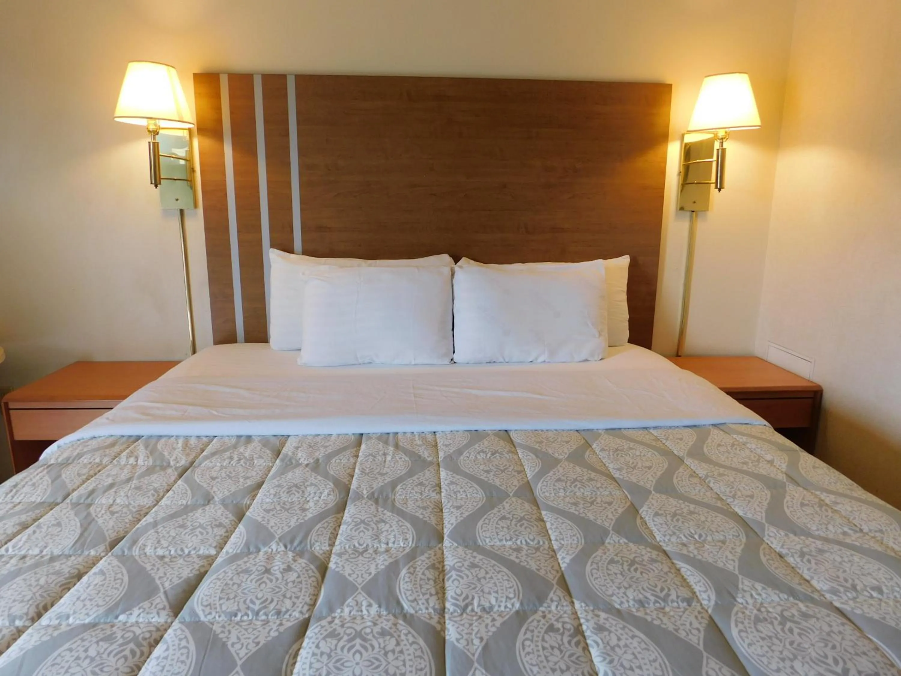 Bed in Drifter Motel