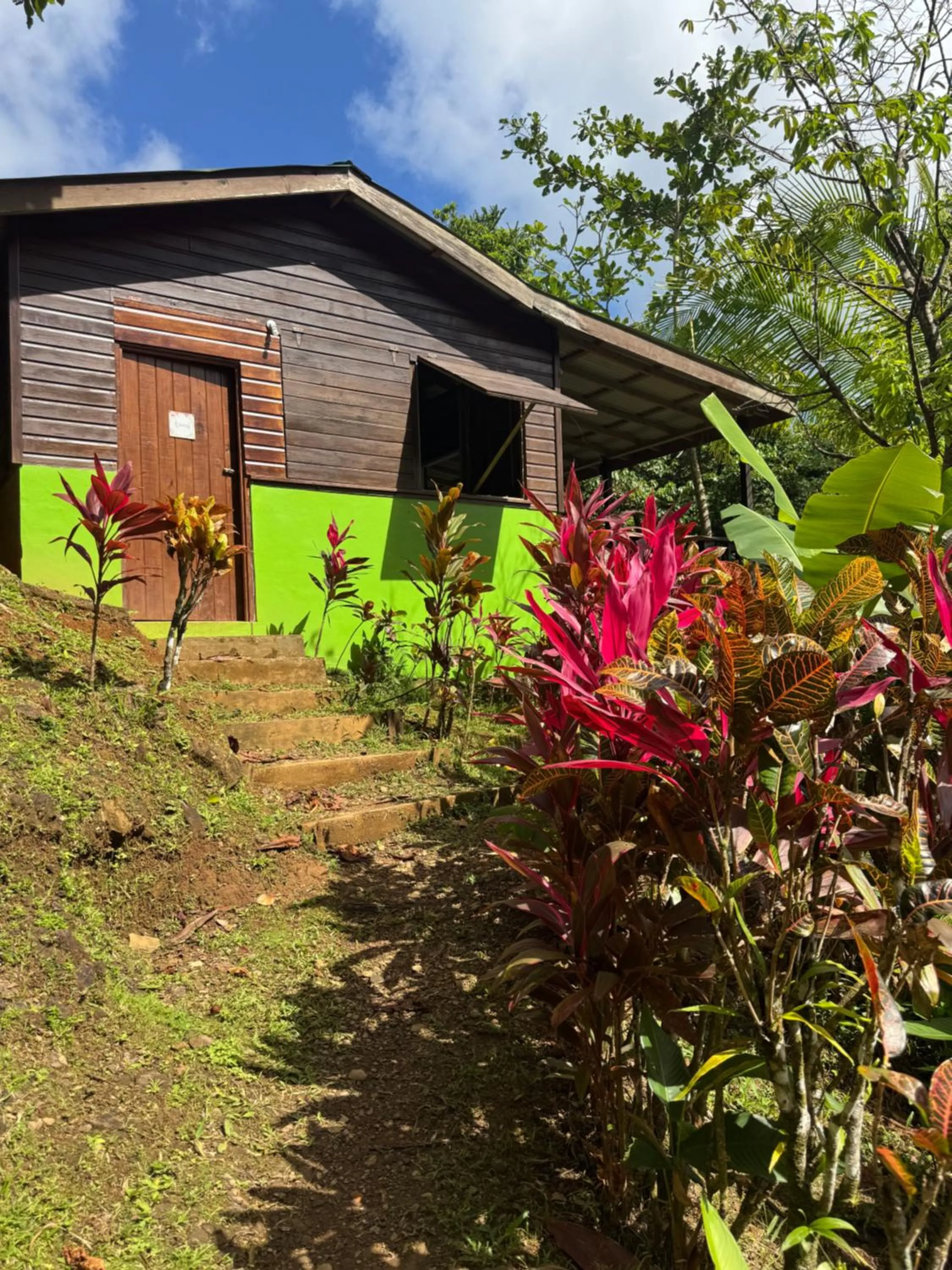 Roots Jungle Retreat