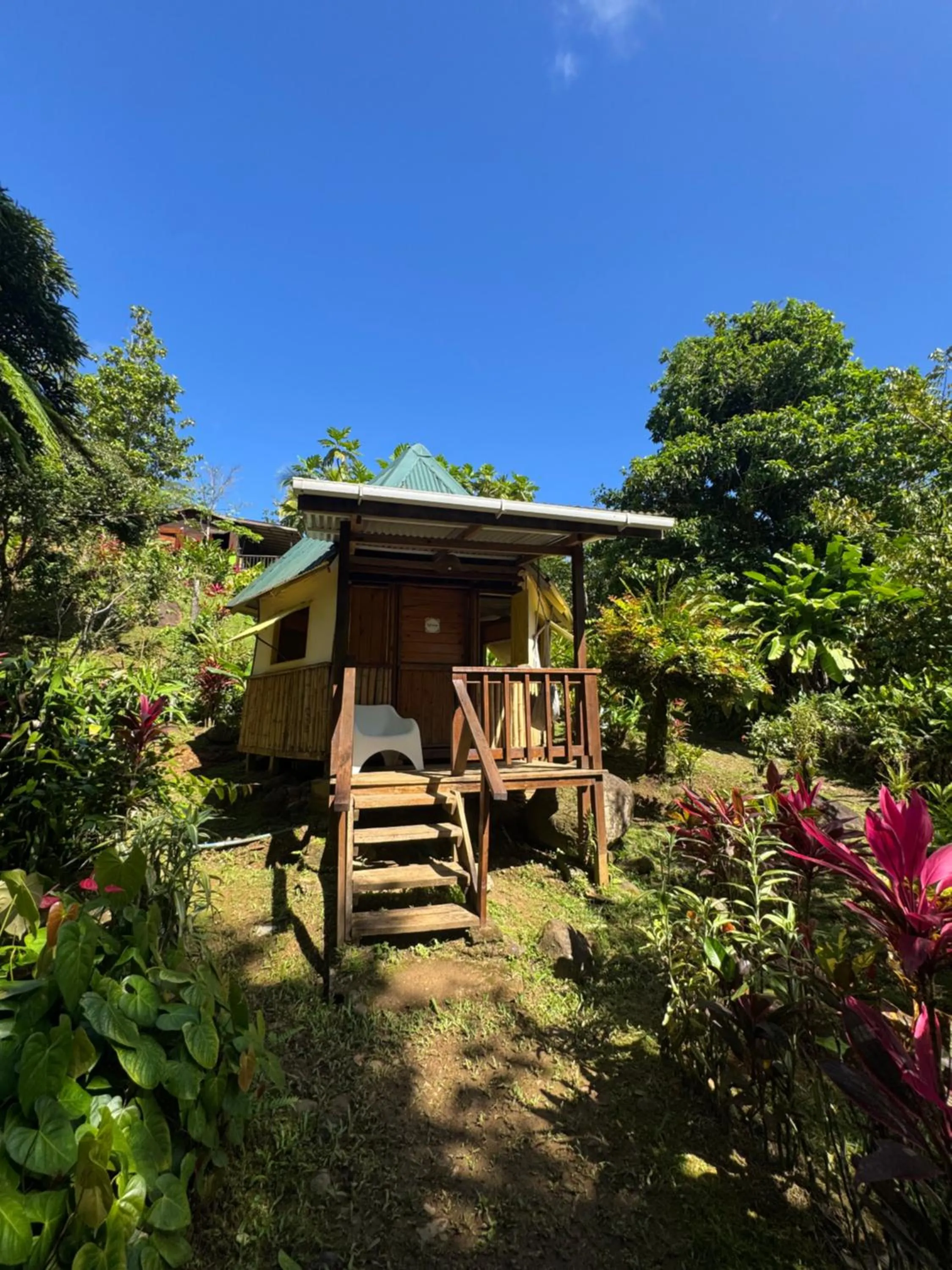 Roots Jungle Retreat