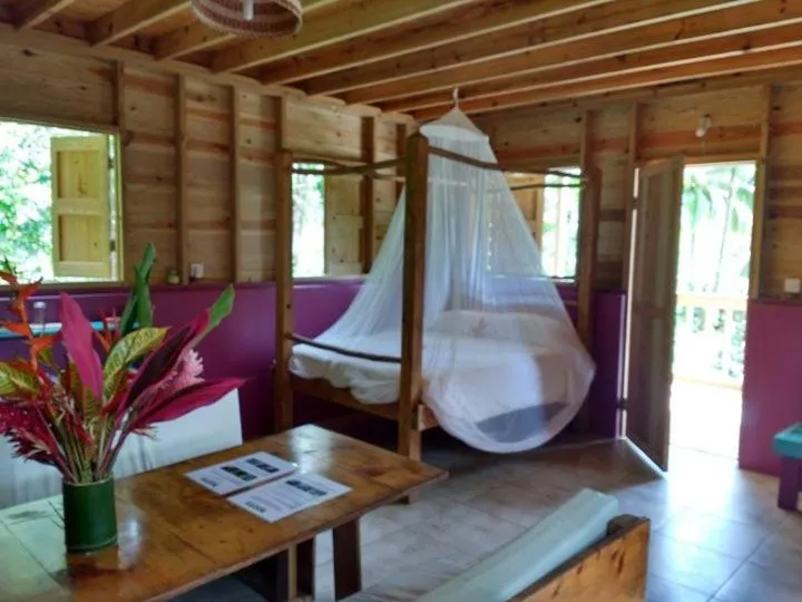 Photo of the whole room in Roots Jungle Retreat