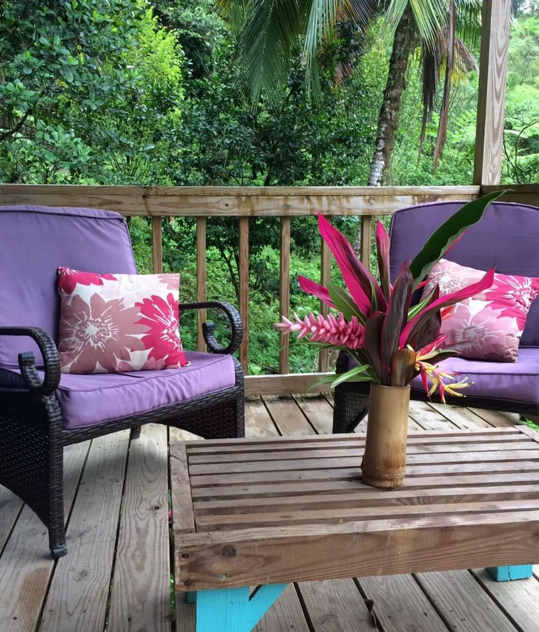 Balcony/Terrace in Roots Jungle Retreat