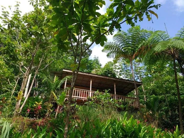 Photo of the whole room in Roots Jungle Retreat