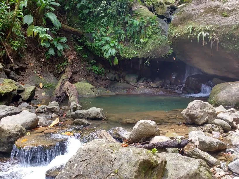 Natural landscape in Roots Jungle Retreat