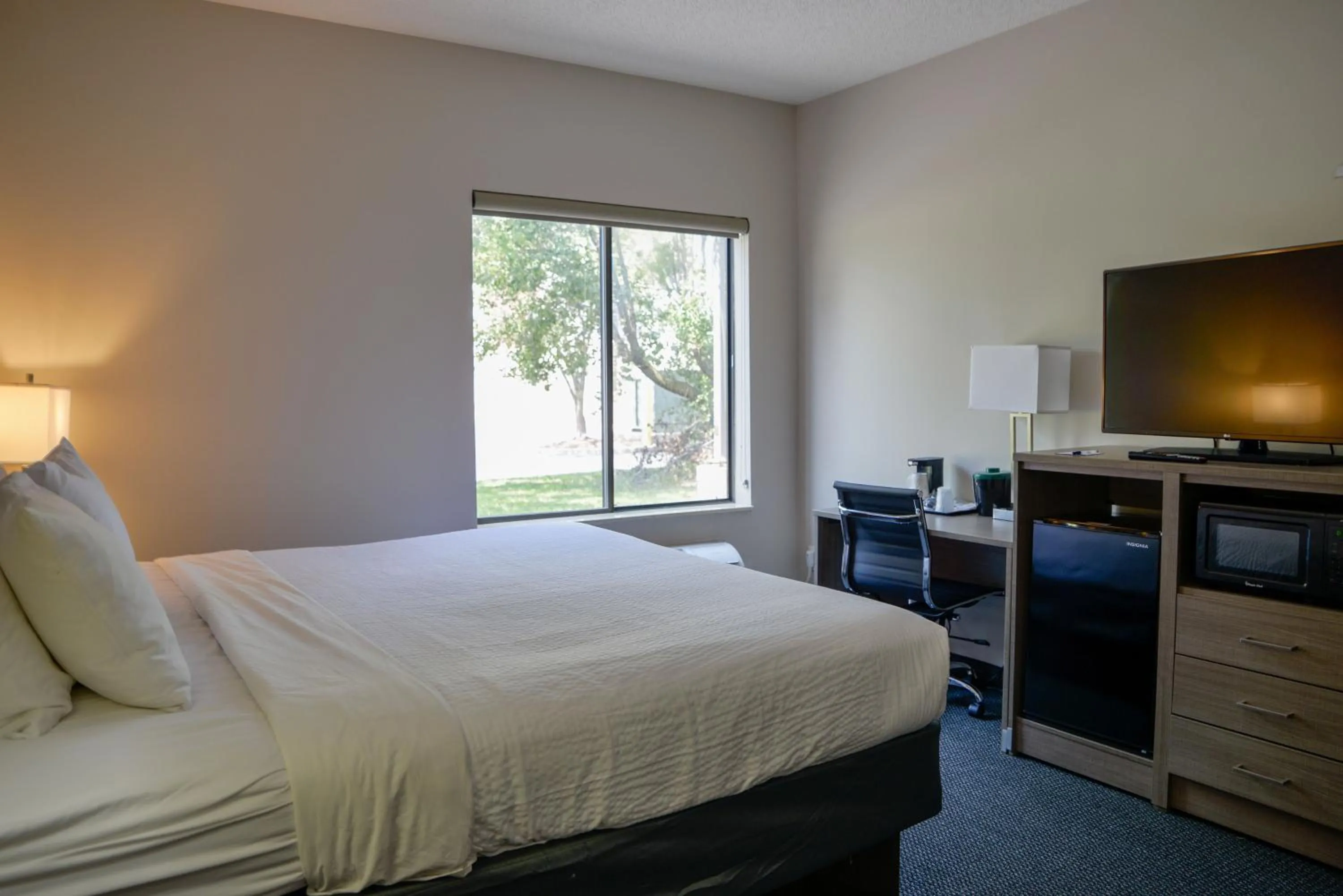 Bedroom, Bed in Baymont by Wyndham O'Fallon St. Louis Area